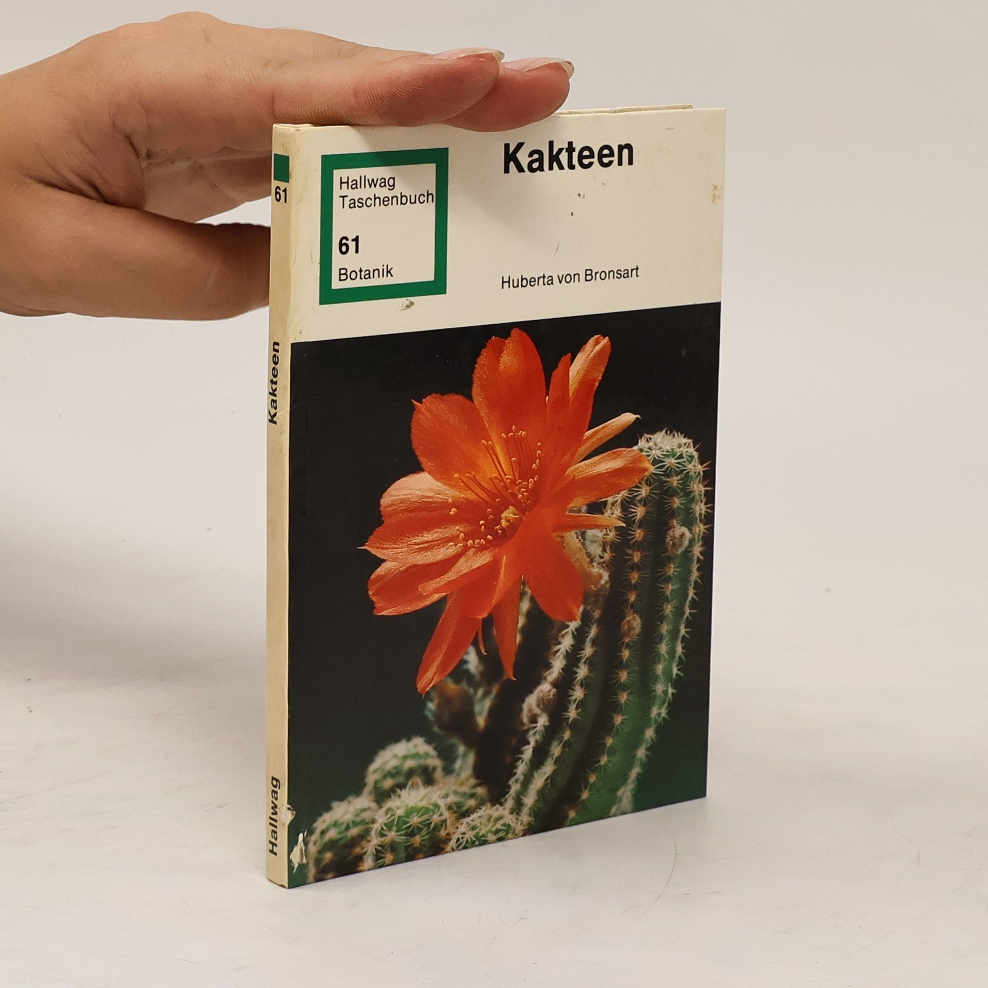Huberta Bronsart von Schellendorff Kakteen