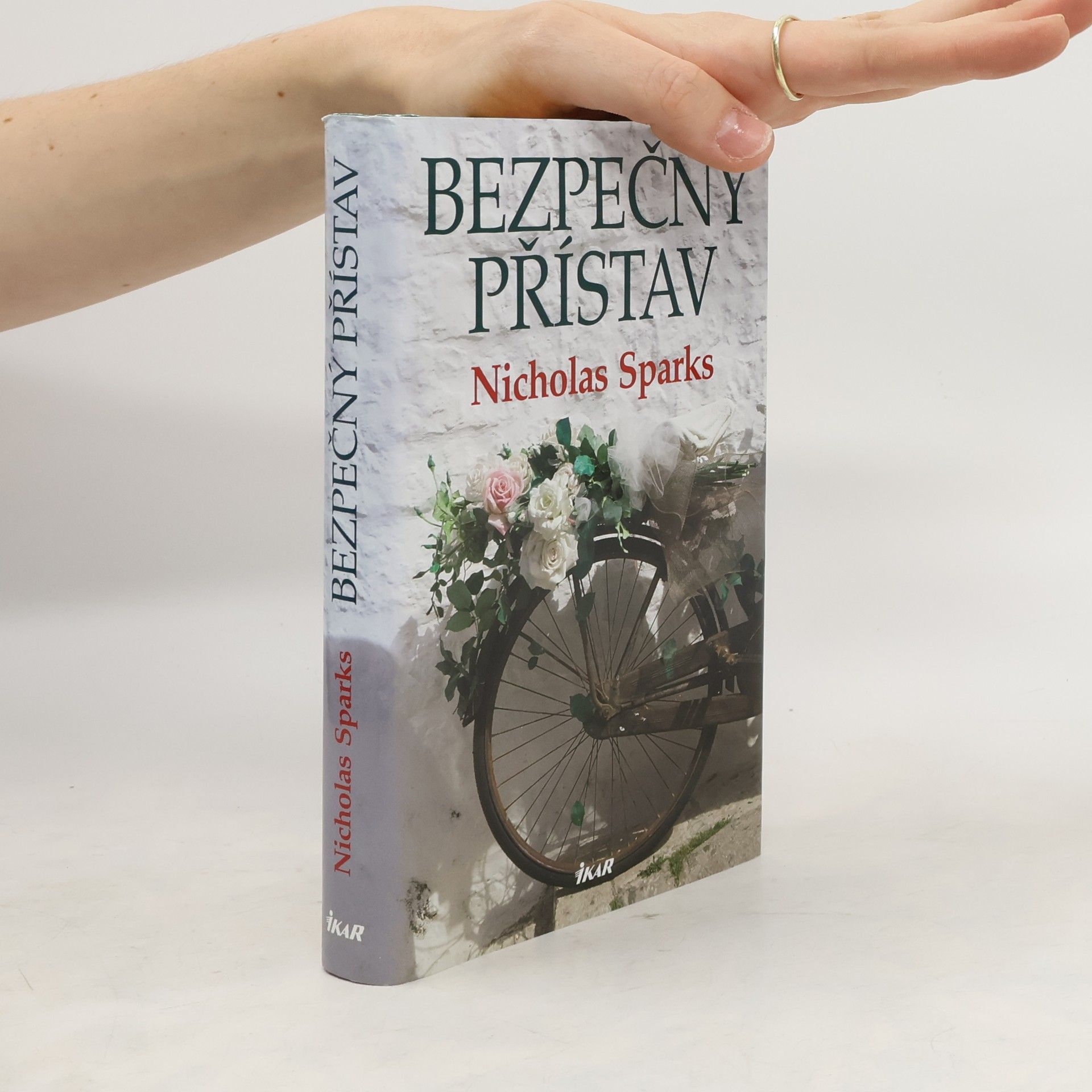 Nicholas Sparks Bezpečný přístav