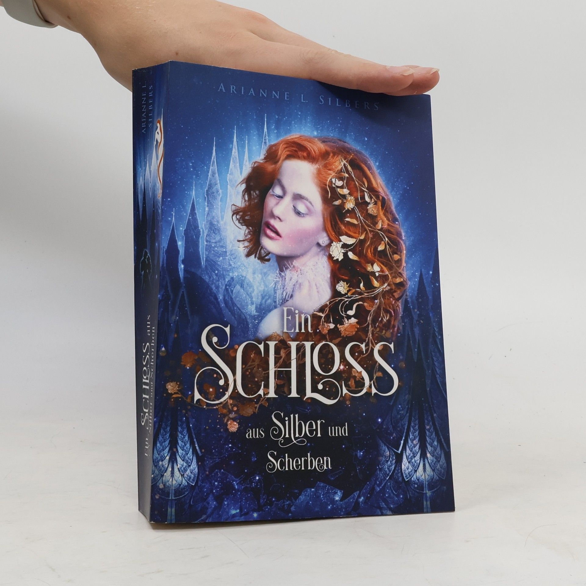 Arianne L. Silbers Ein Schloss aus Silber und Scherben