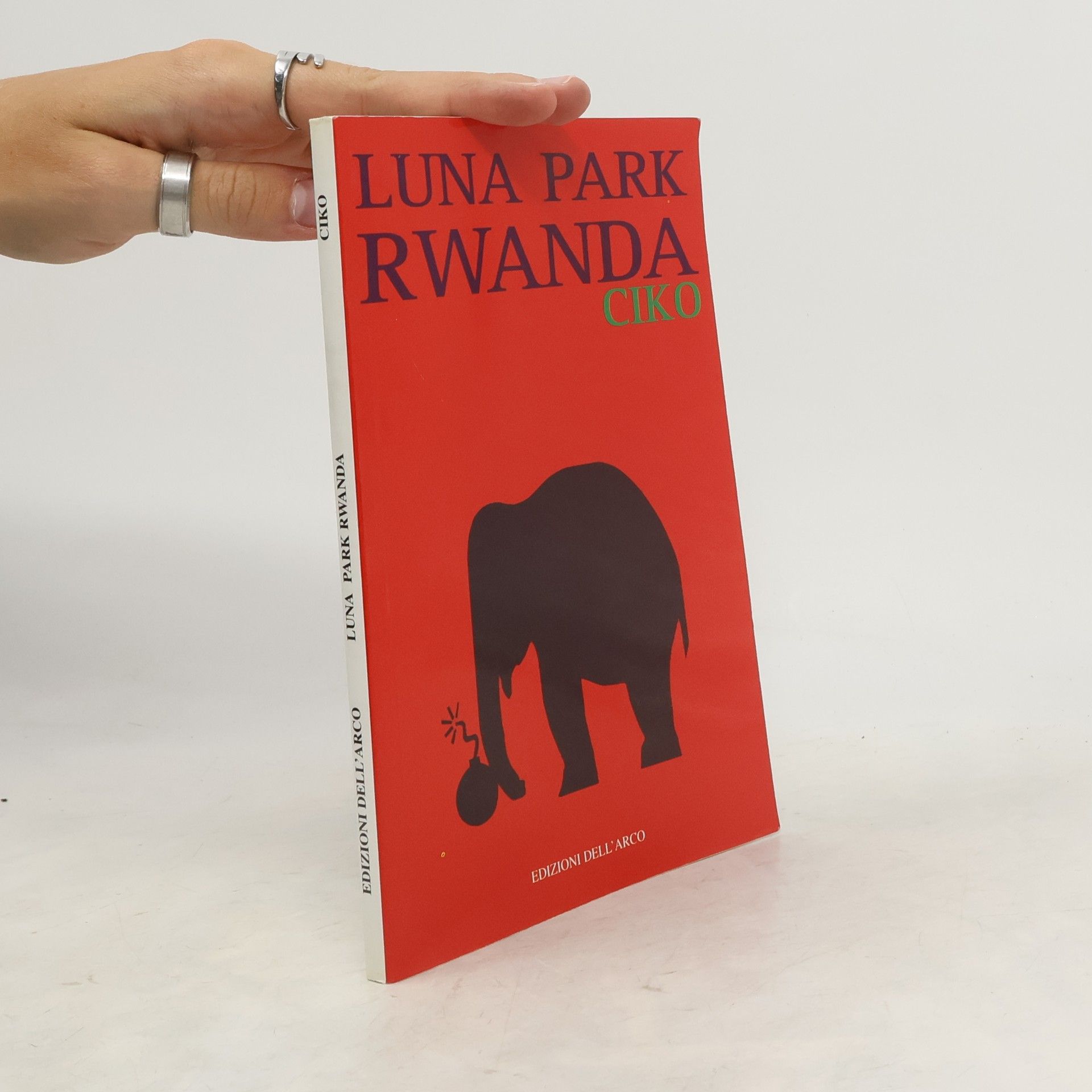 Roberto Mauri Luna Park Rwanda