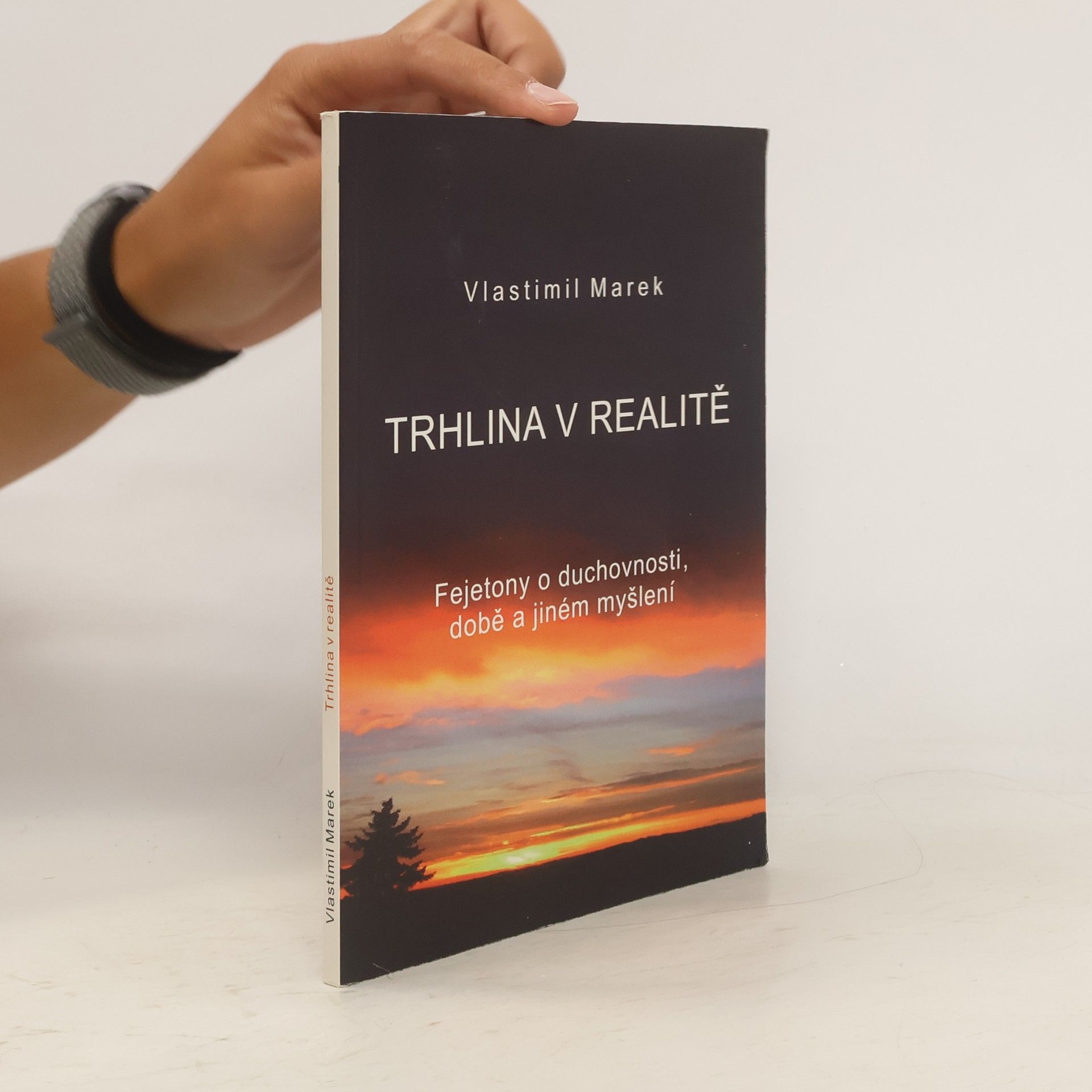 Vlastimil Marek Trhlina v realitě