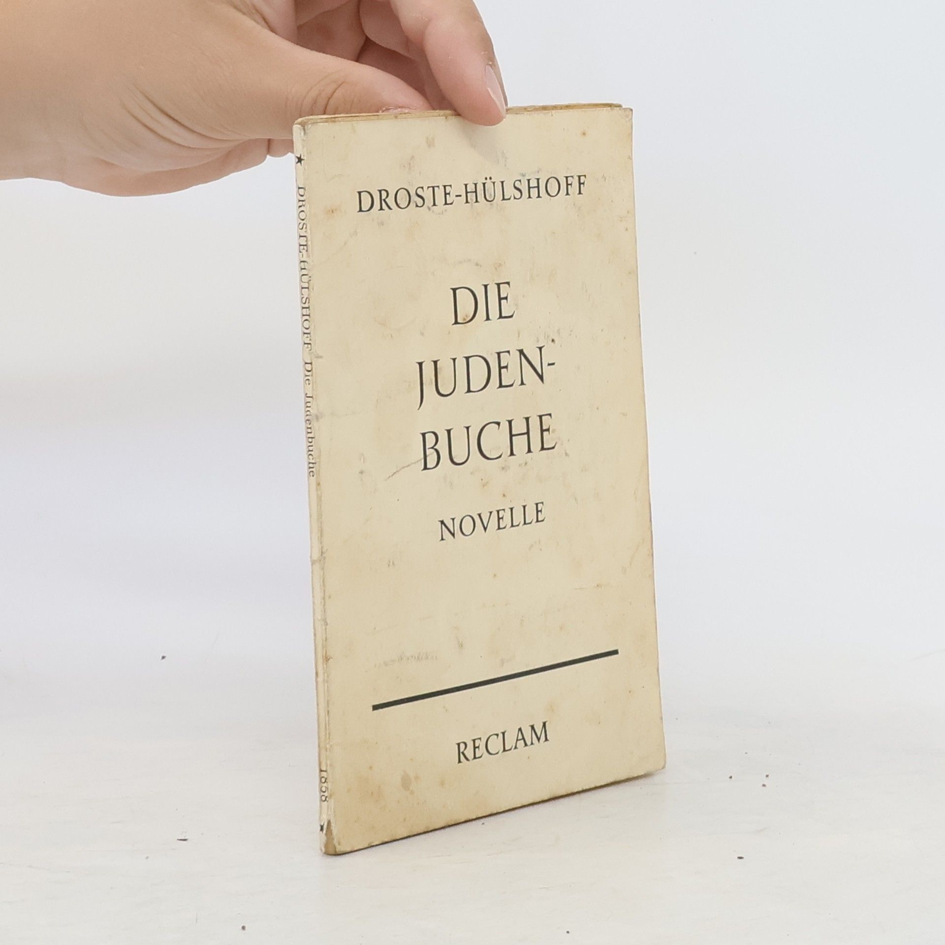 Annette von Droste-Hülshoff Die Juden-Buche