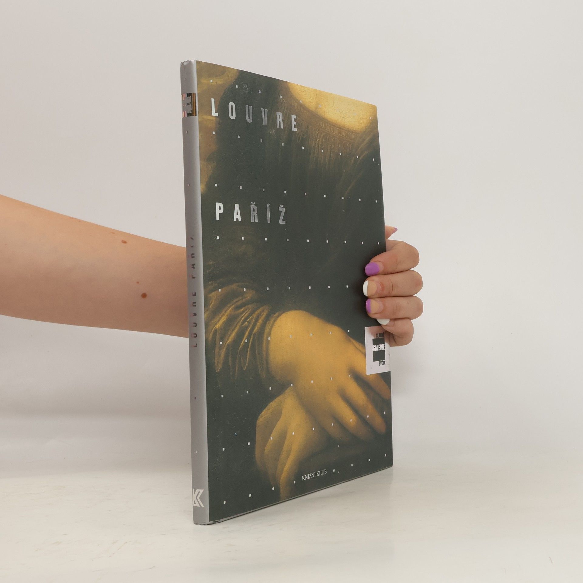 Alessandra Fregolent Slavné galerie světa. Louvre - Paříž