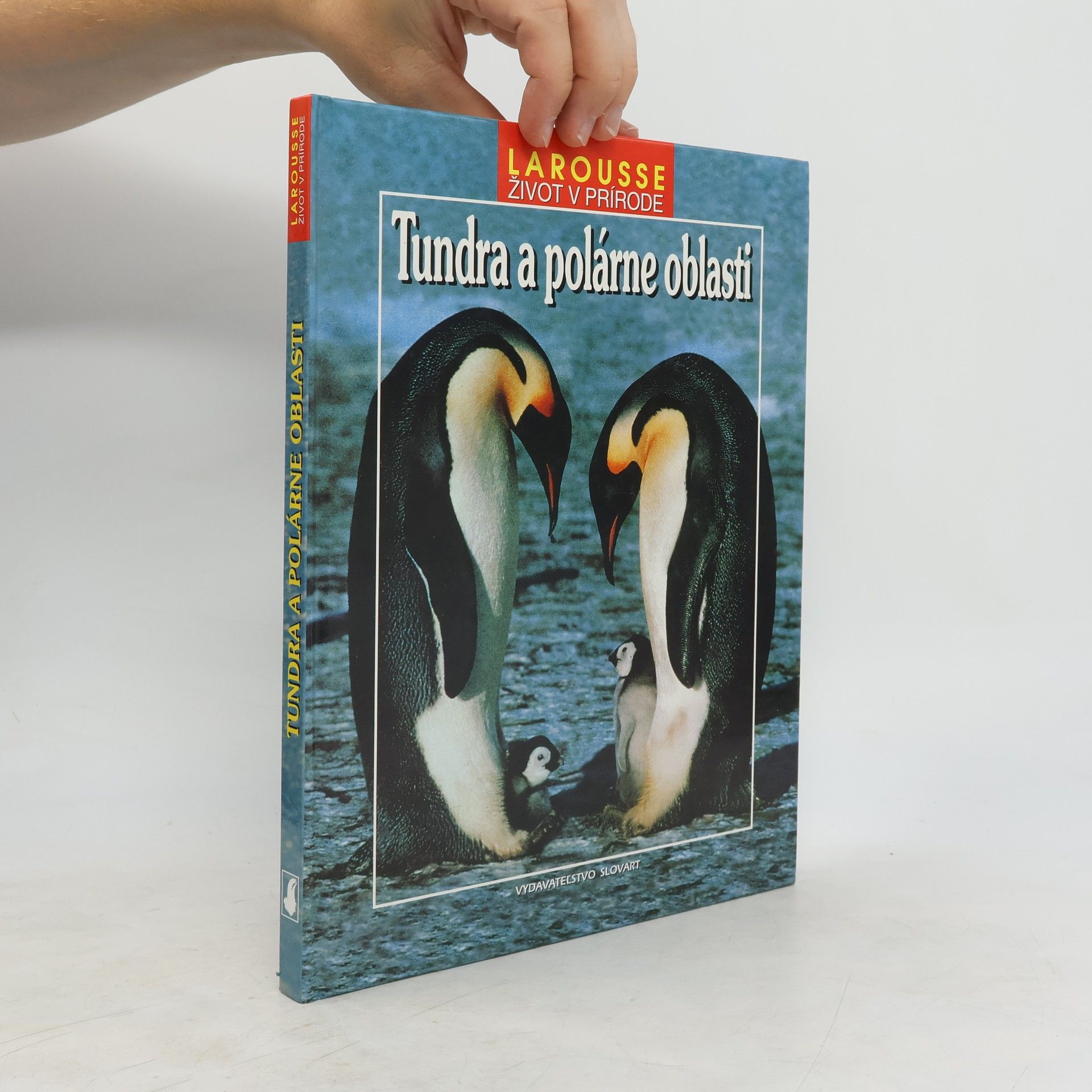 Various authors Tundra a polárne oblasti