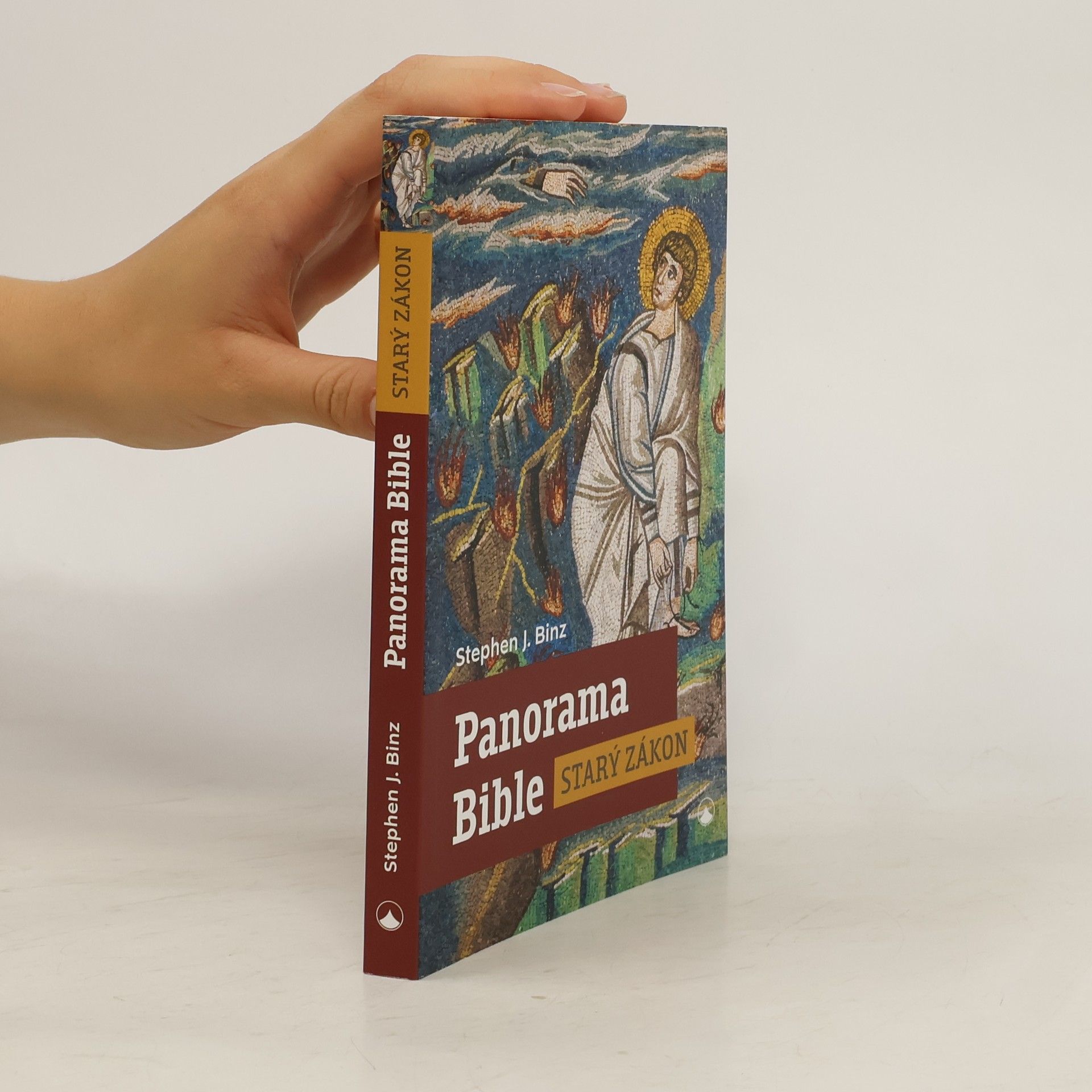 Stephen J. Binz Panorama Bible Starý zákon