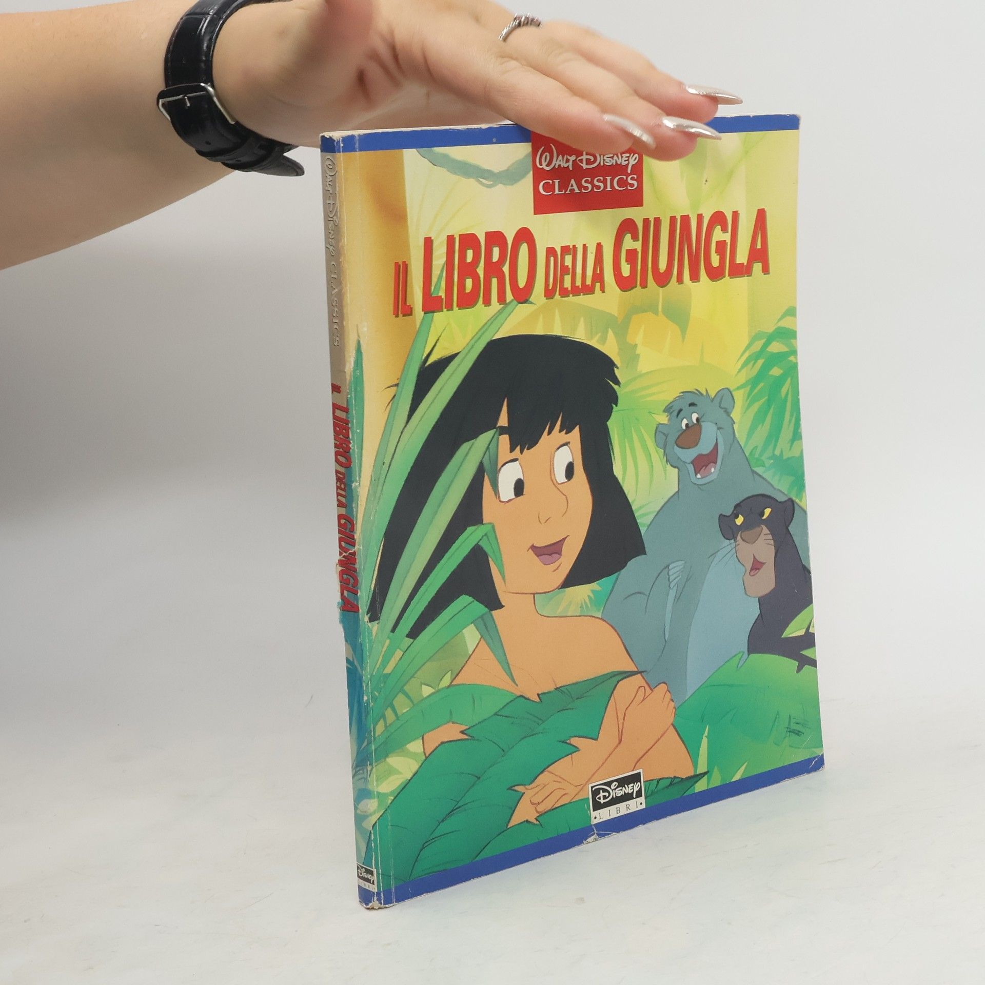 AA.VV. Il libro della giungla