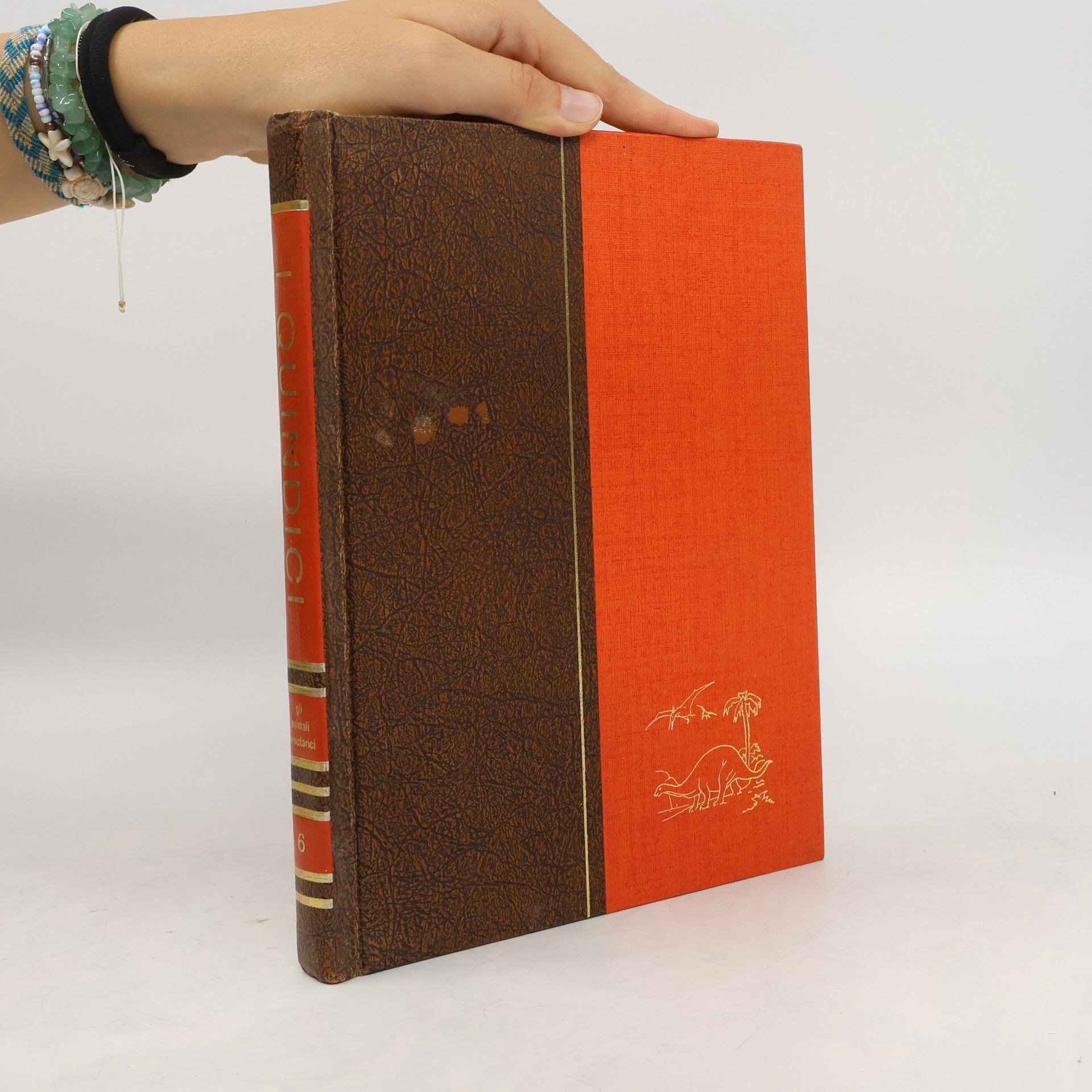 AA.VV. I Quindici 6.