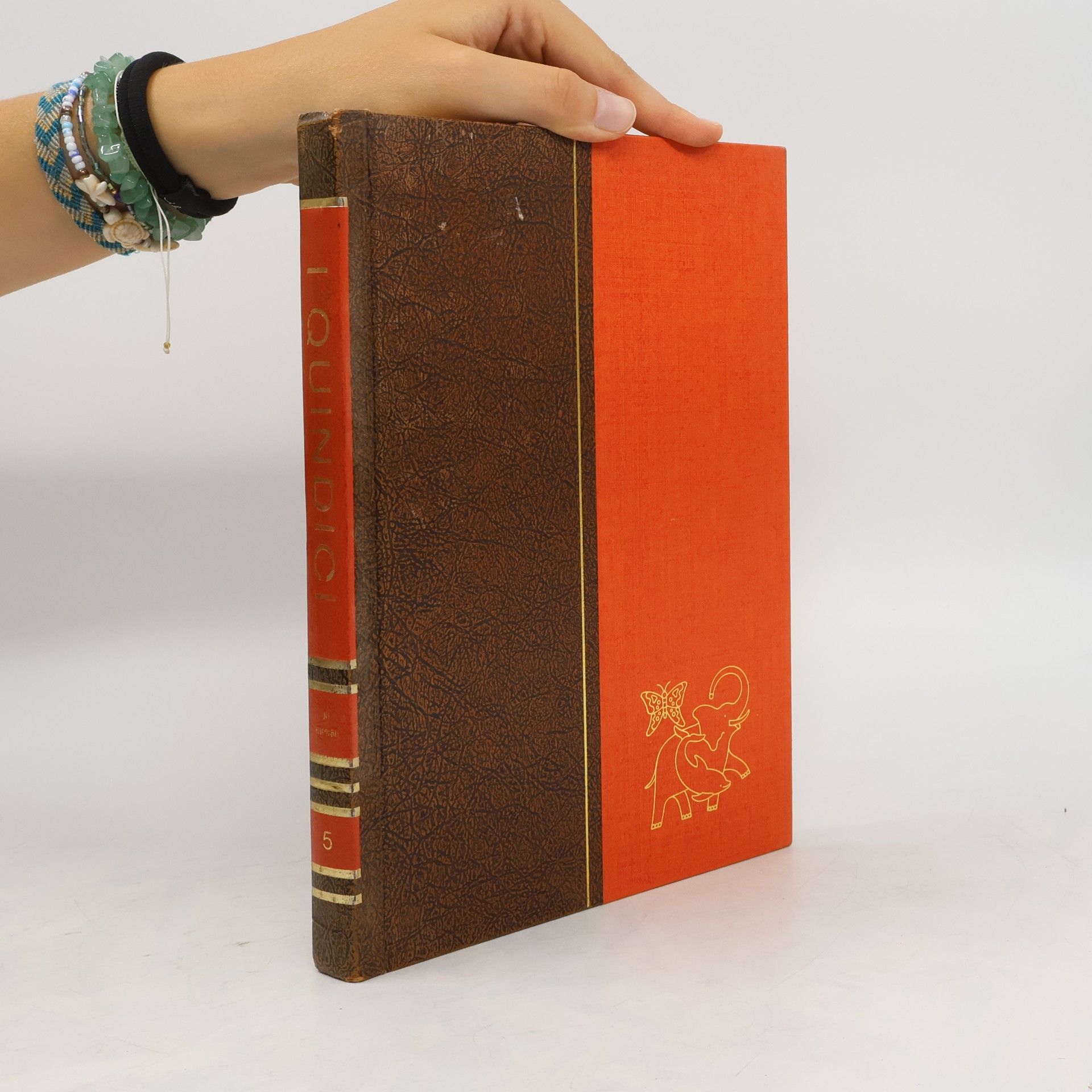 Autorenkollektiv I Quindici 5