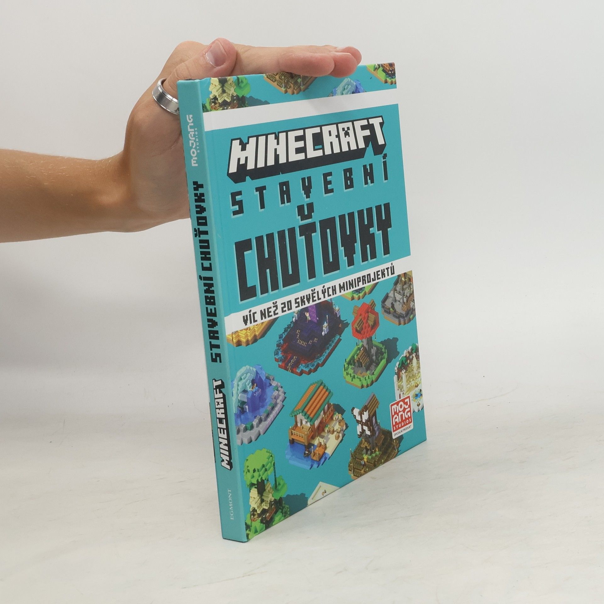 Collectif d'auteurs Minecraft. Stavební chuťovky