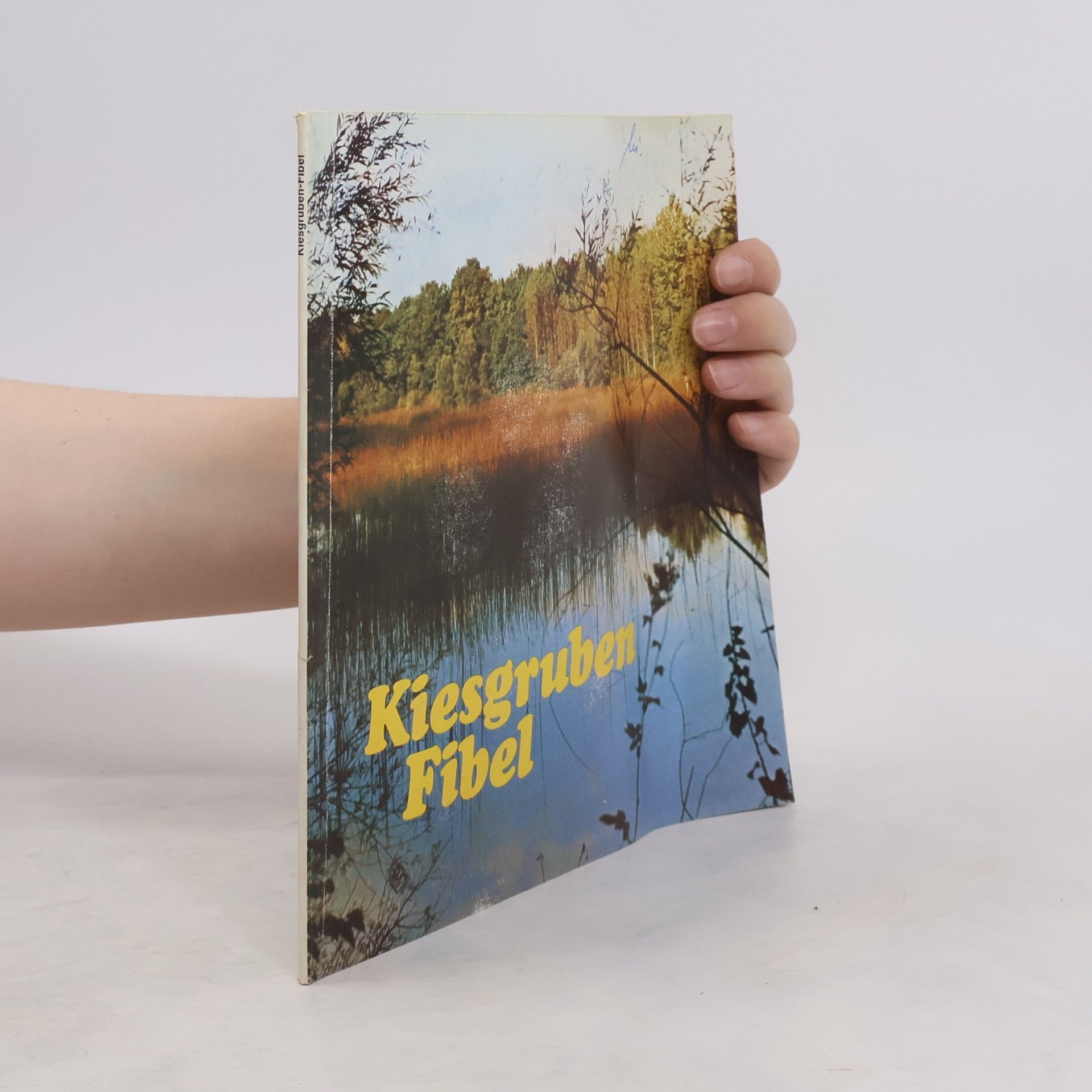Michael Lohmann Kiesgruben Fibel