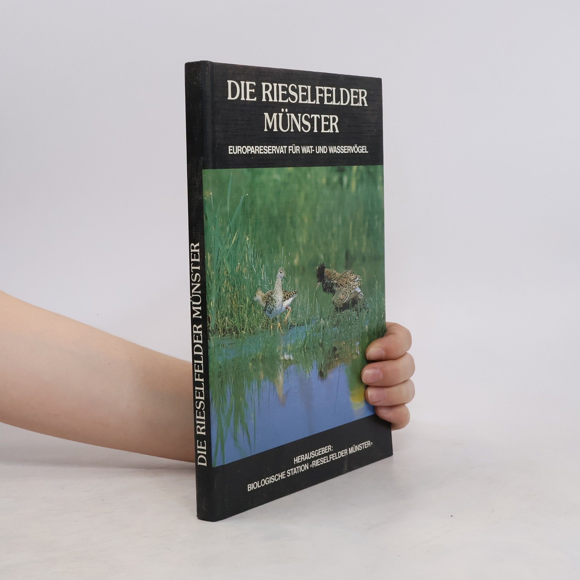 Irmgard Blindow Die Rieselfelder Münster