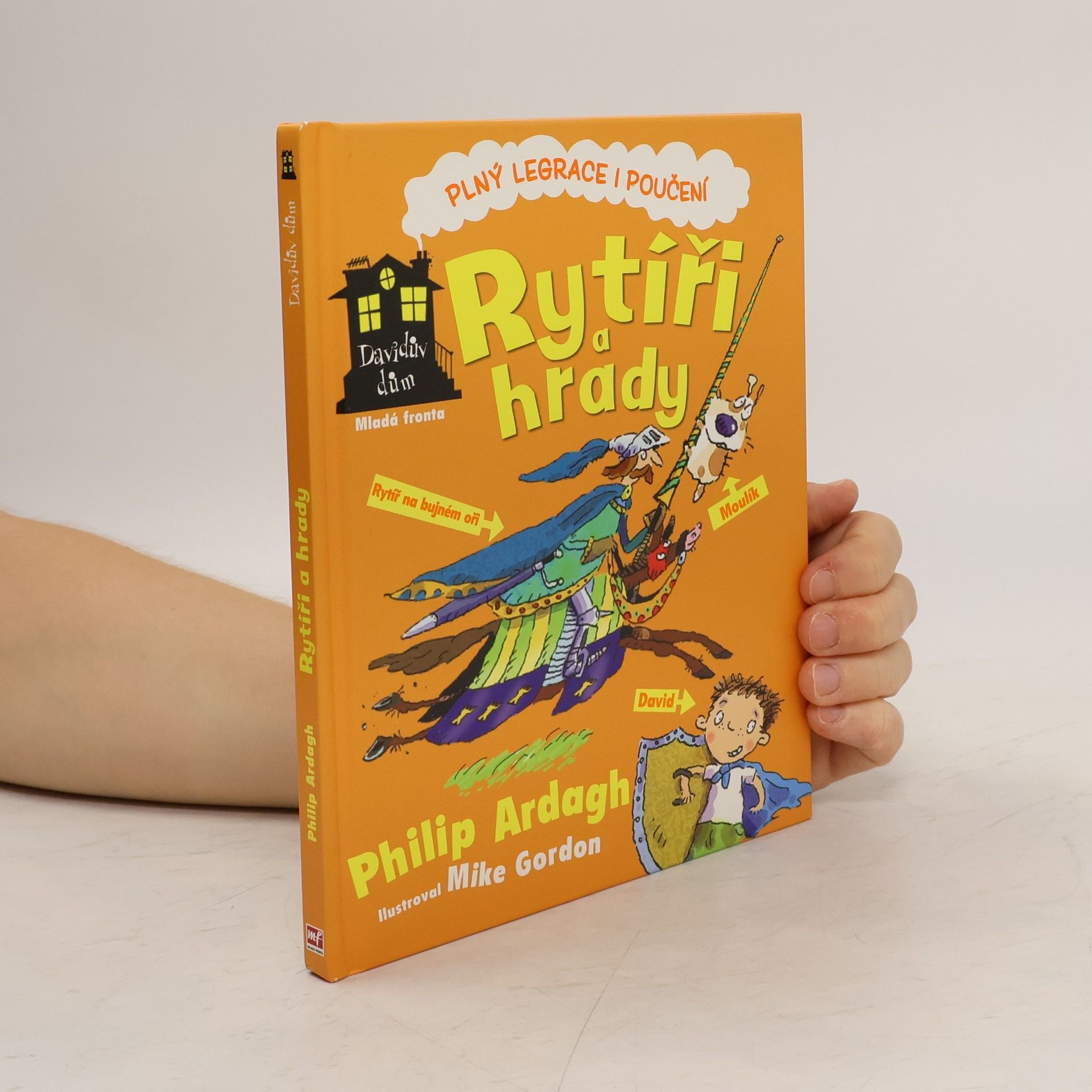 Philip Ardagh Davidův dům. Rytíři a hrady