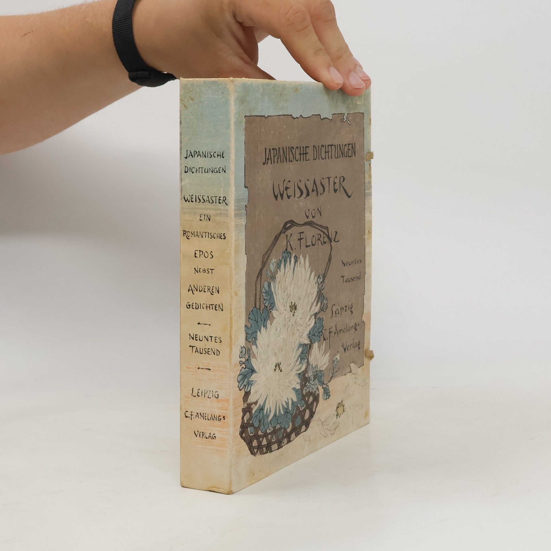 Auteurscollectief Weissaster. Ein romantisches Epos nebst anderen Gedichten