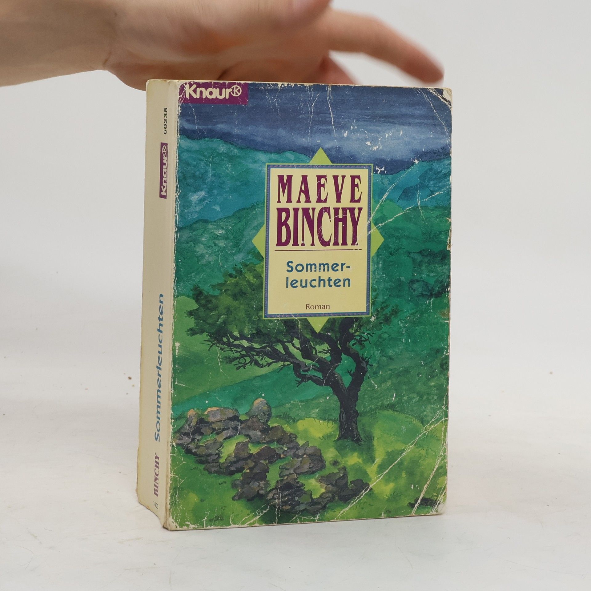 Maeve Binchy Sommerleuchten