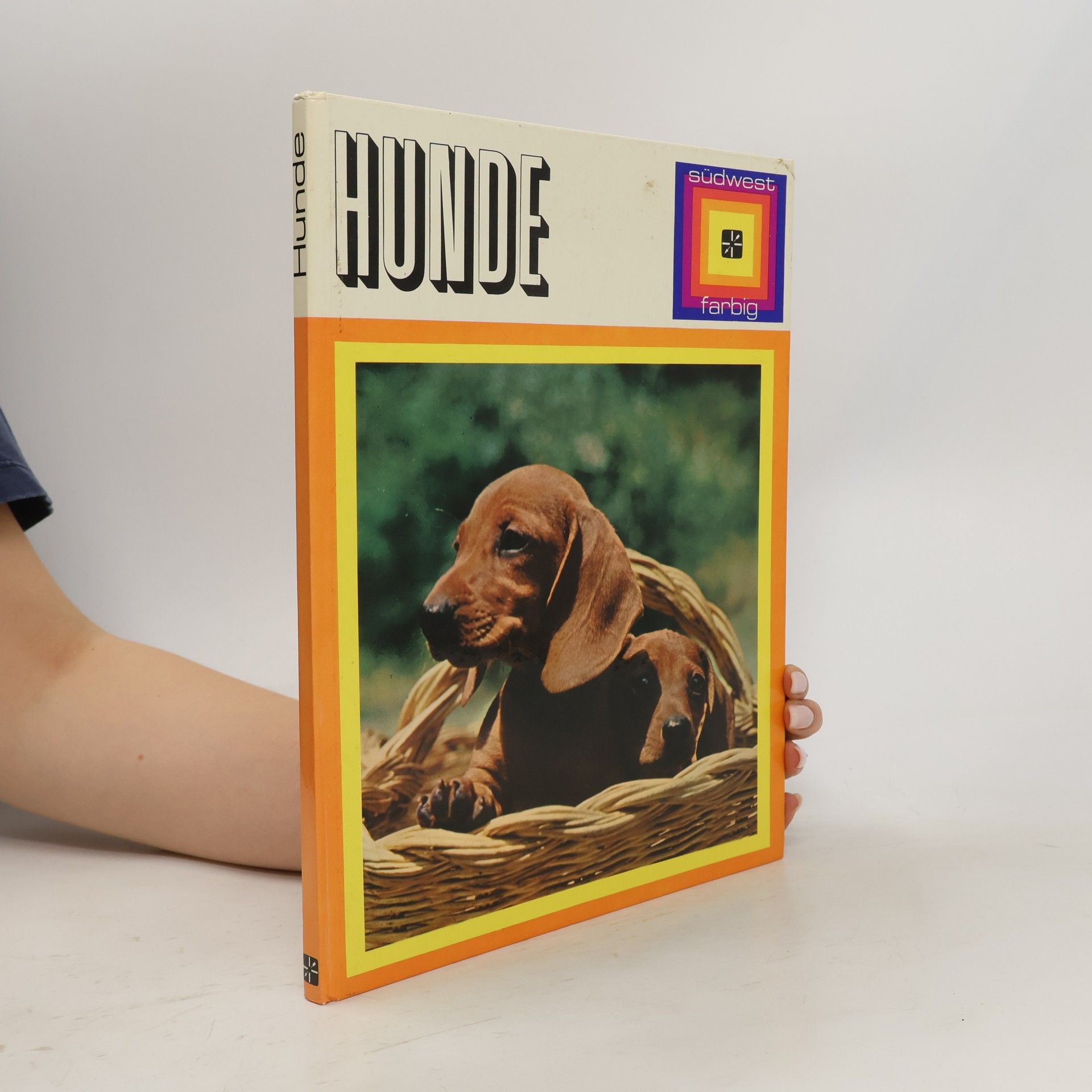 kolektiv Hunde