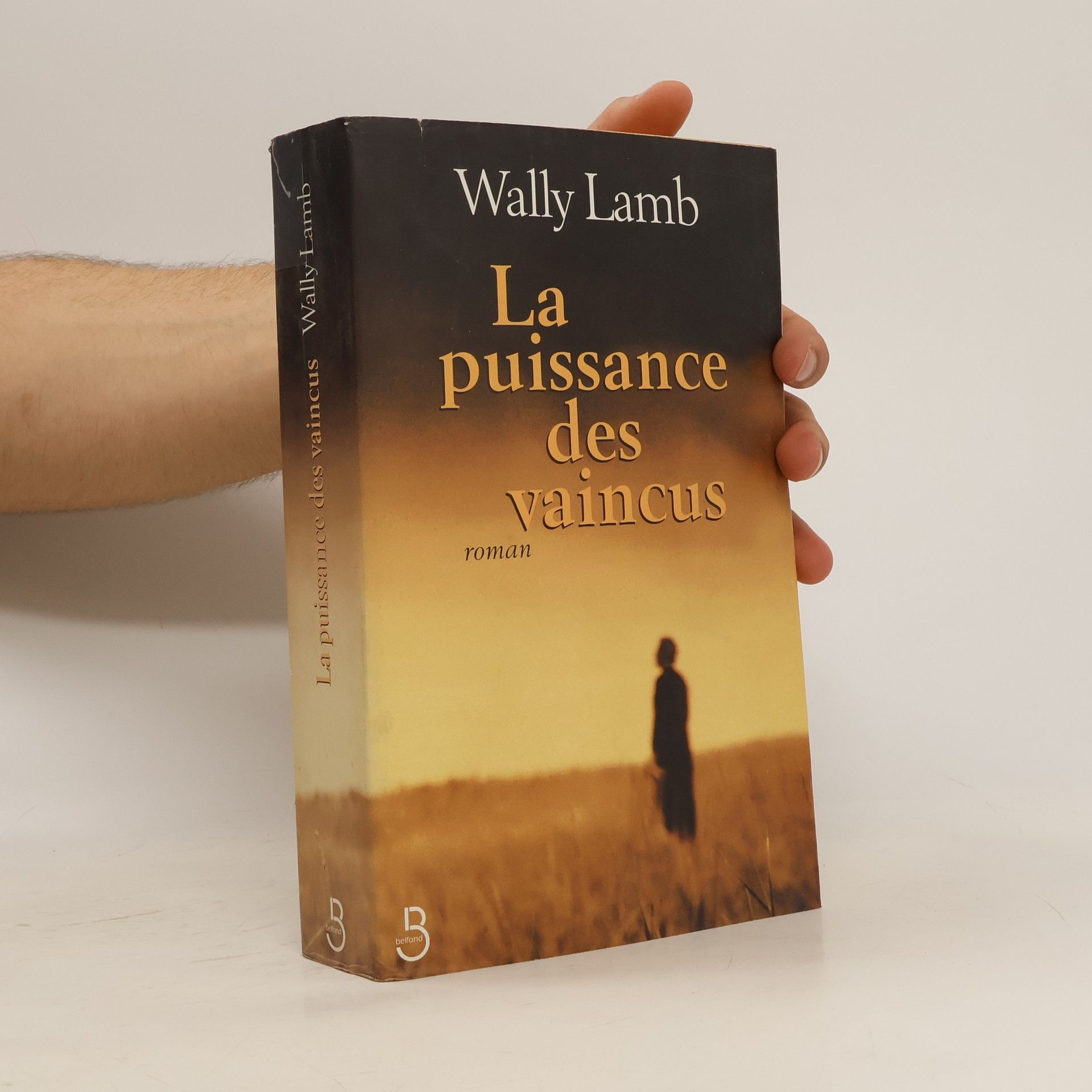 Wally Lamb La puissance des vaincus
