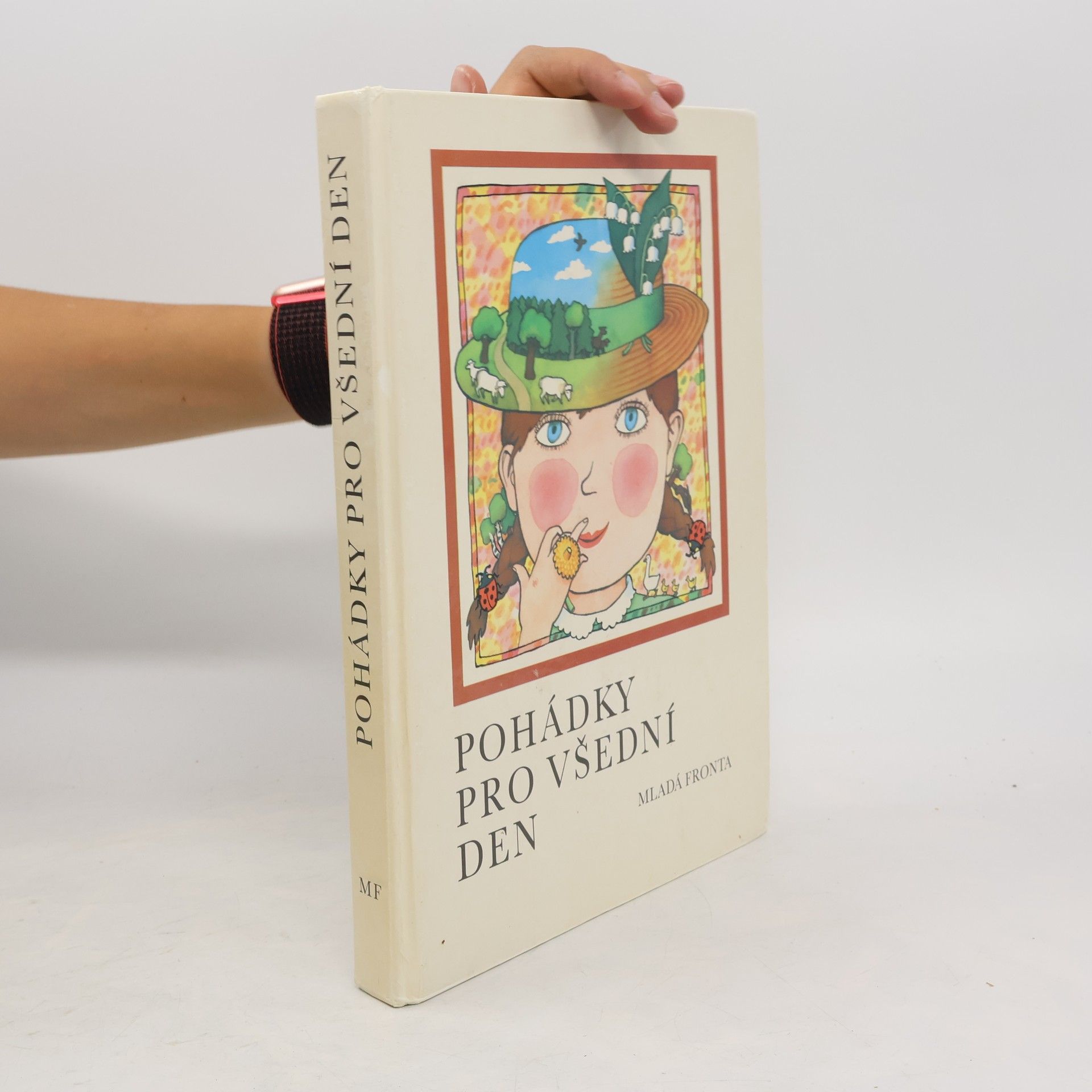 Collectif d'auteurs Pohádky pro všední den