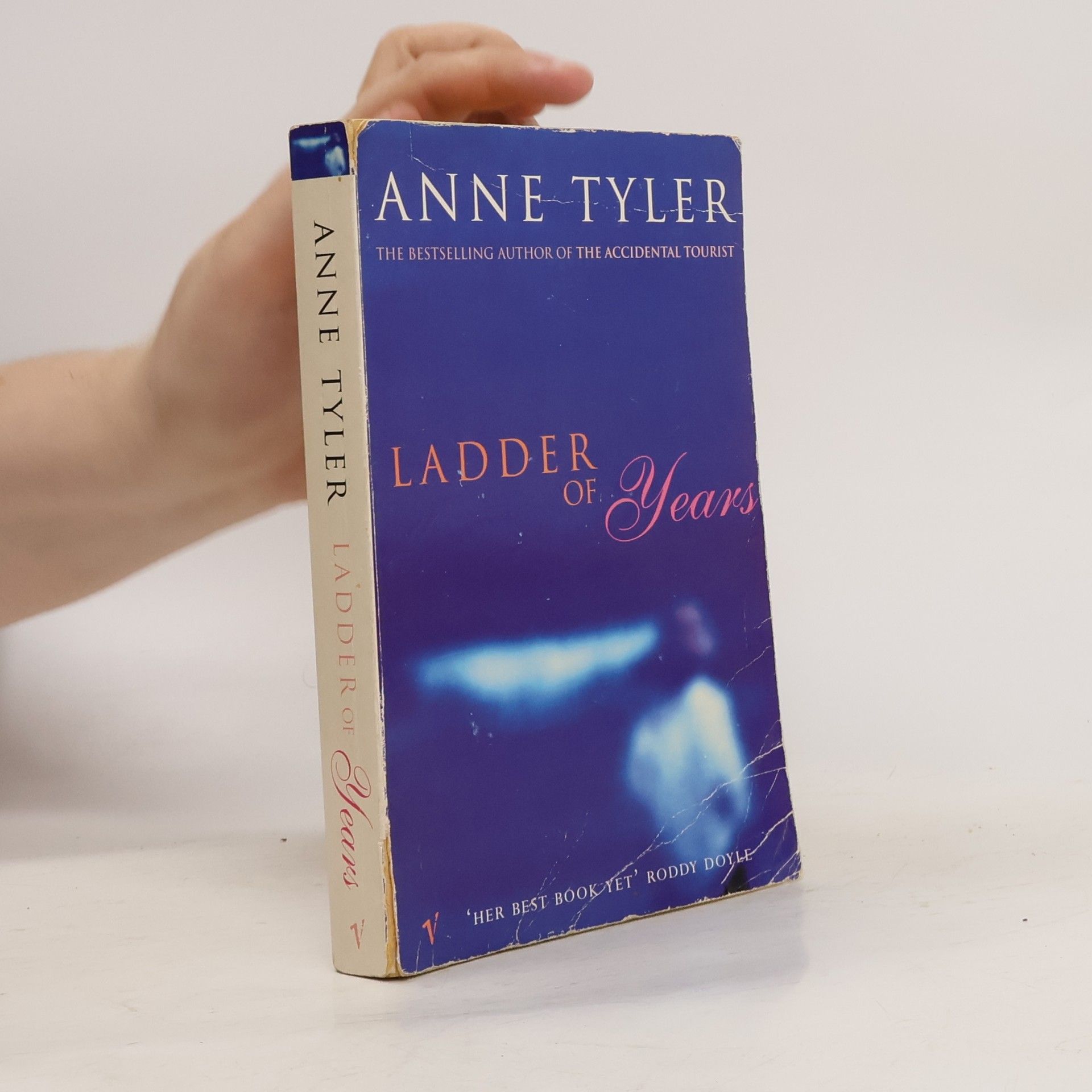 Anne Tyler Ladder of years