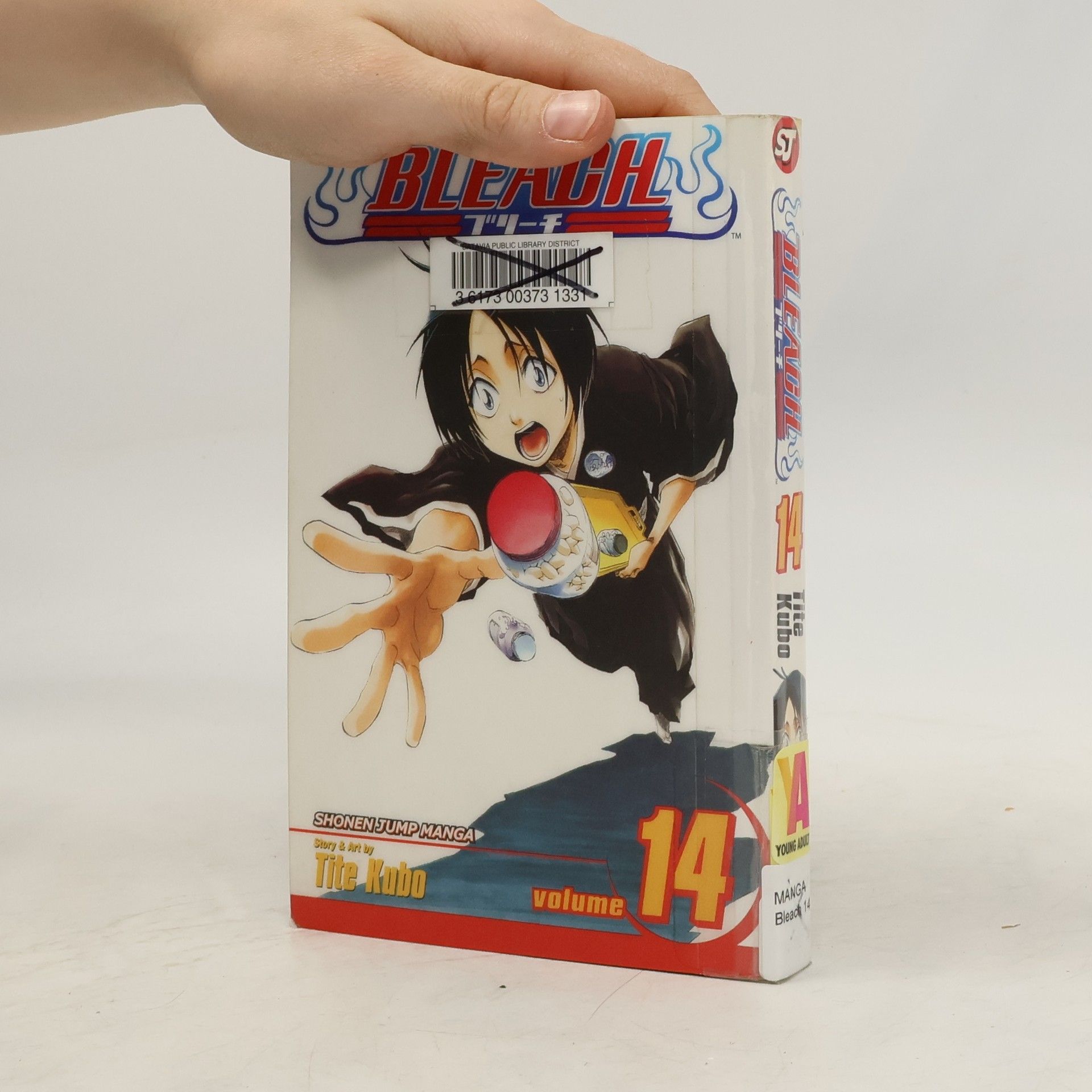 Tite Kubo Bleach, Vol. 14