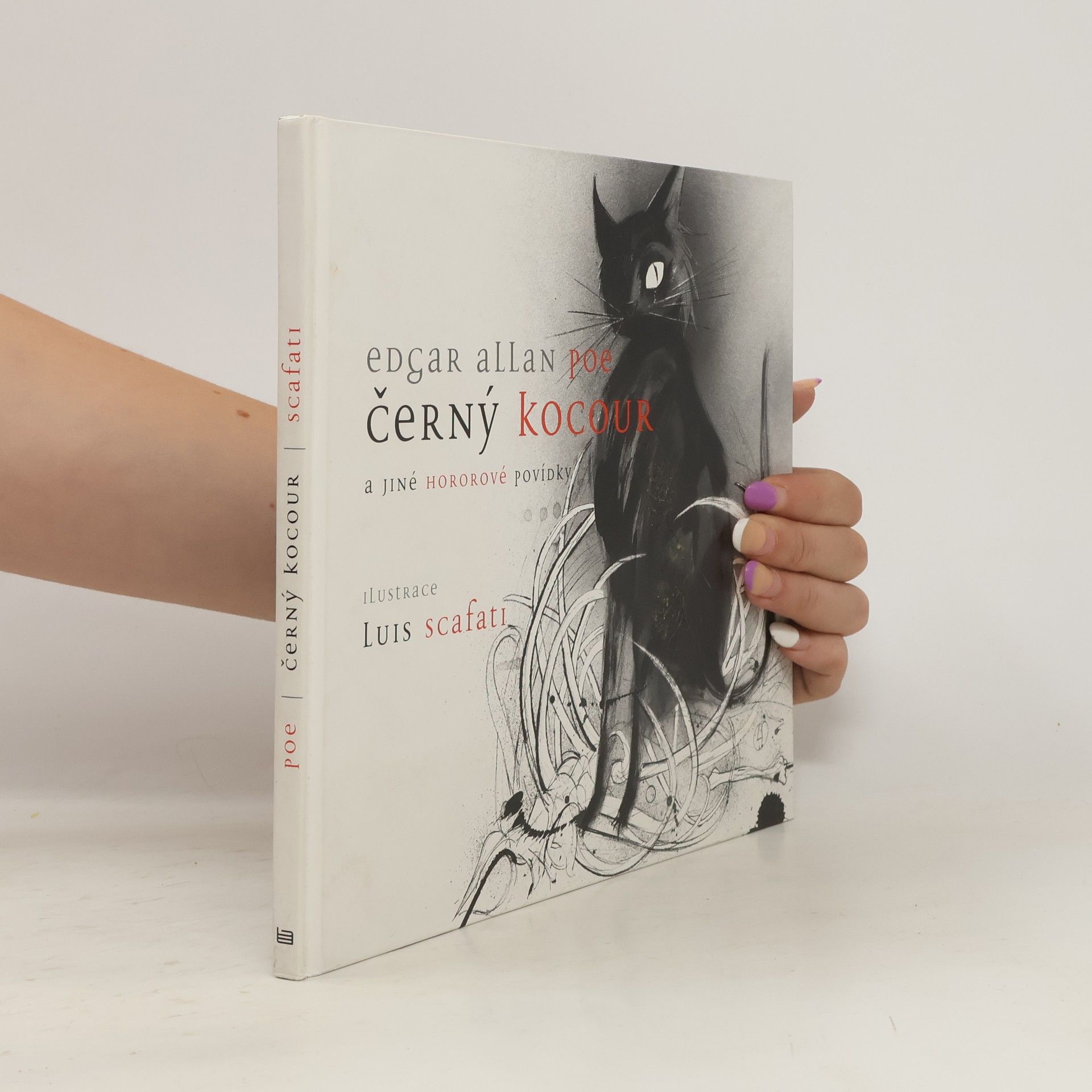 Edgar Allan Poe Černý kocour a jiné hororové povídky