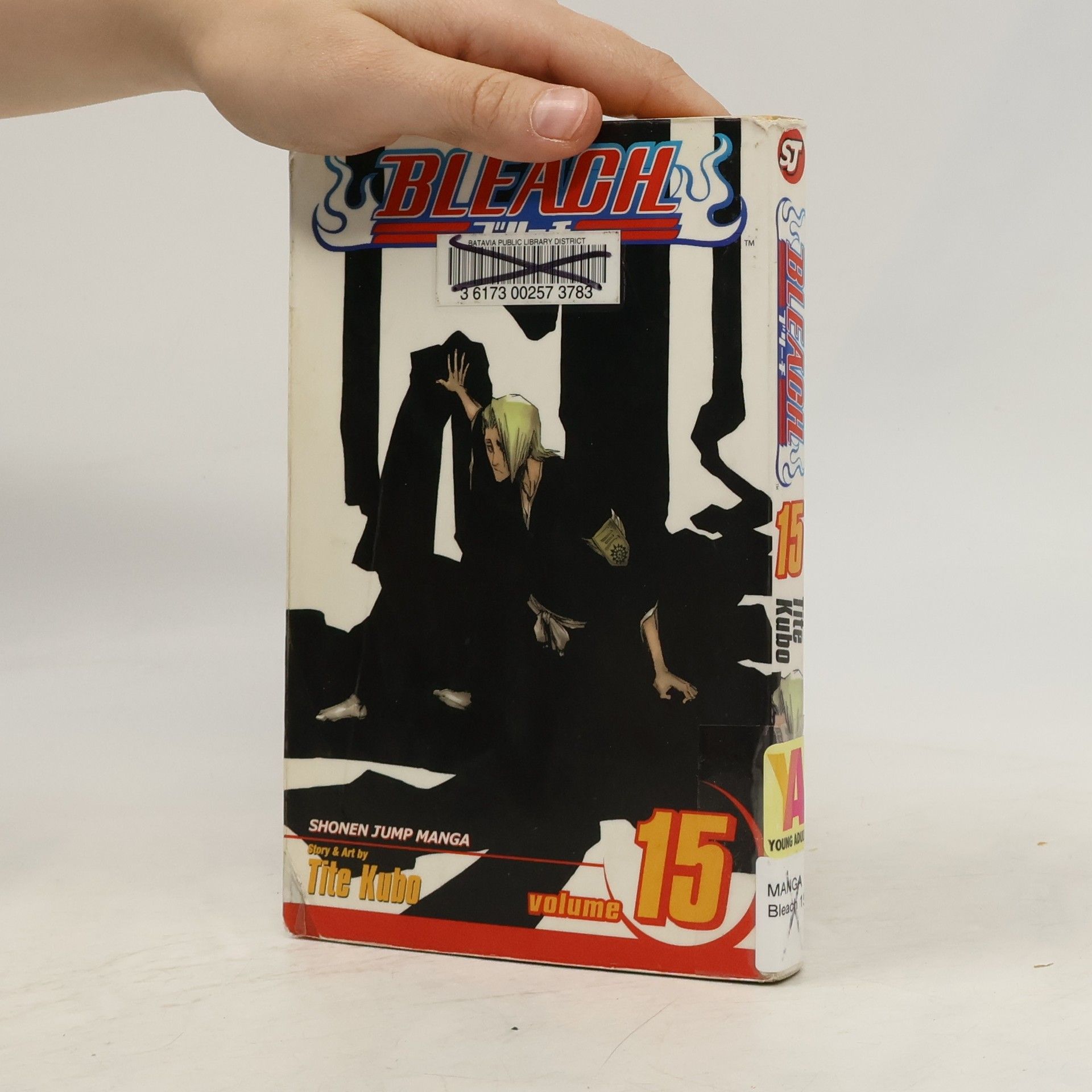 Tite Kubo Bleach, Vol. 15