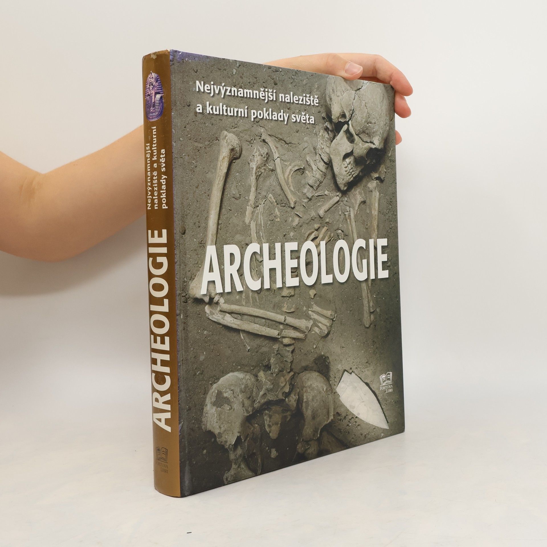 Bahram Ajorloo Archeologie: Nejvýznamnější naleziště a kulturní poklady světa