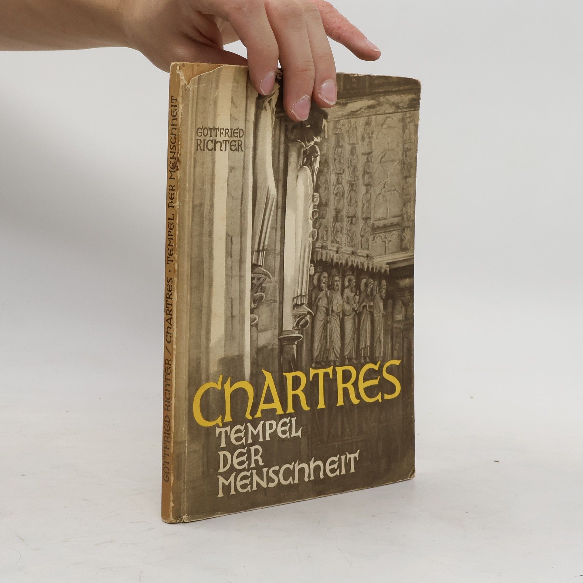 Gottfried Richter Chartres. Tempel der Menschheit