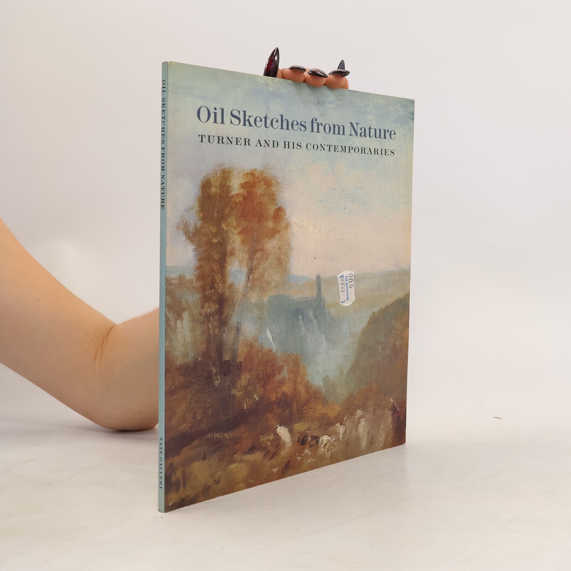David Blayney Brown Oil sketches from nature