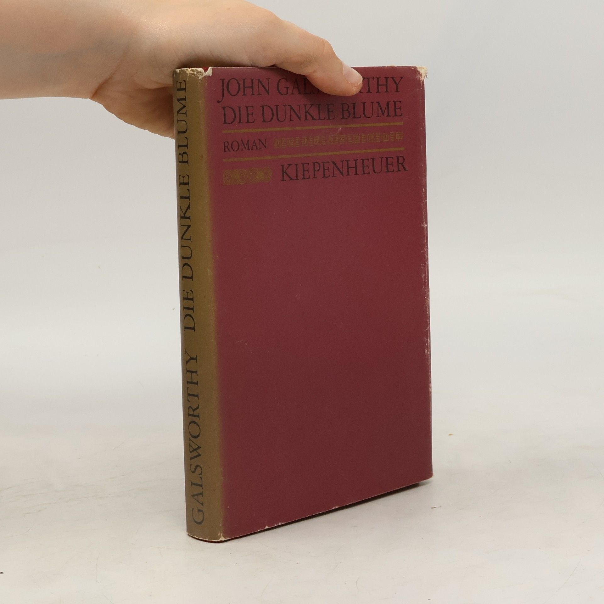 John Galsworthy Die dunkle Blume