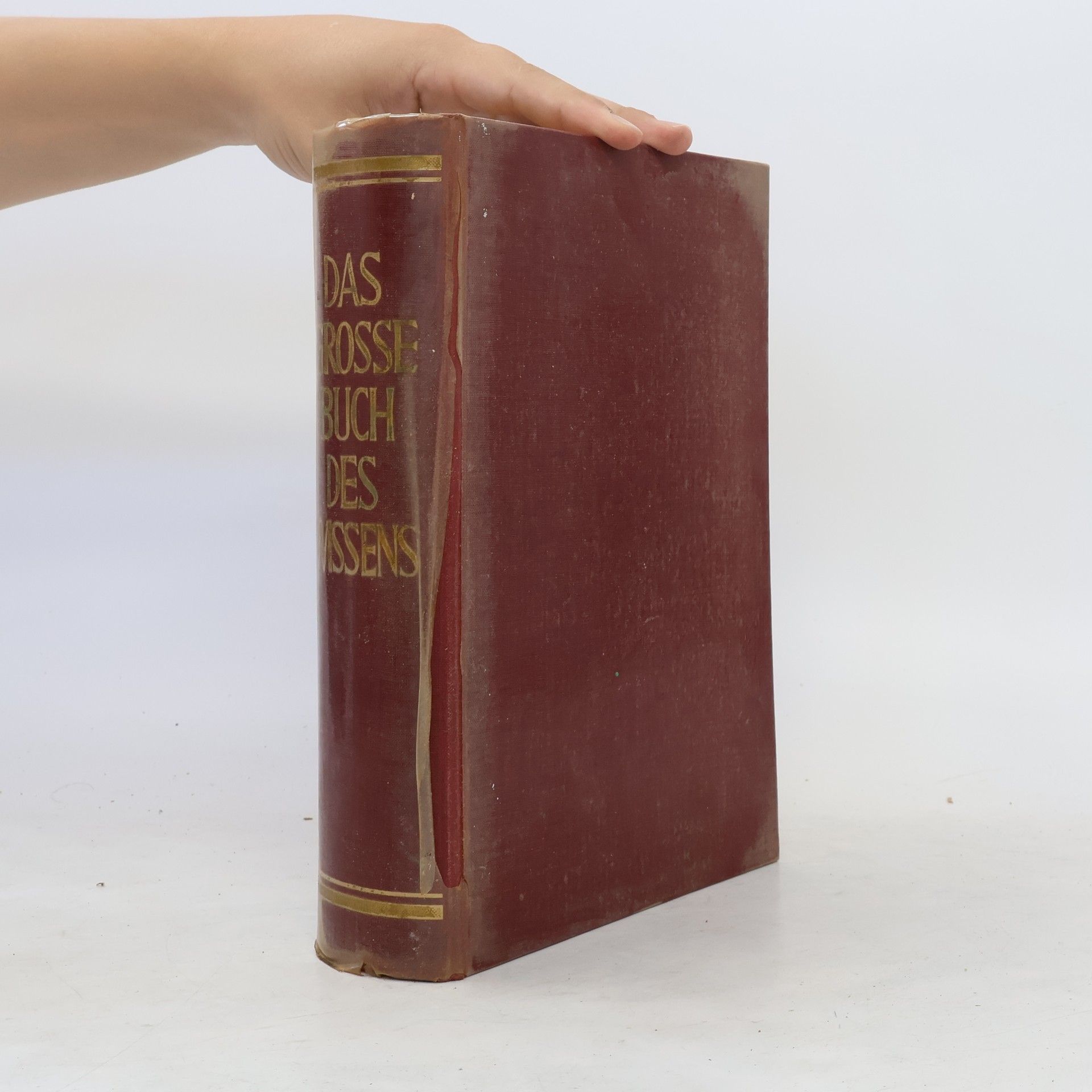Erich Wiegand Das grosse Buch des Wissens