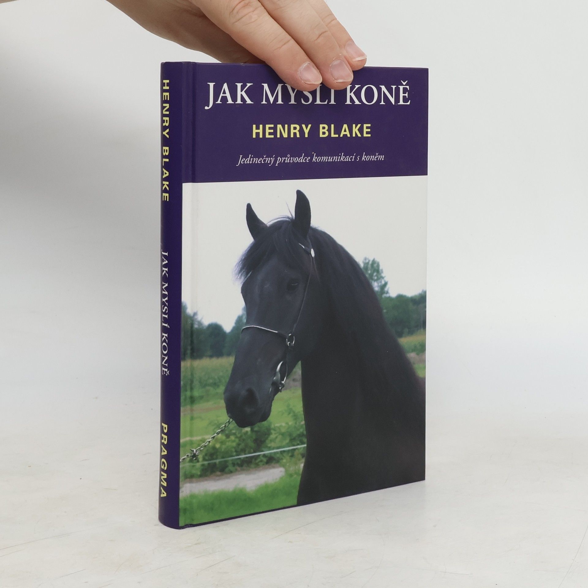 H. N. Blake Jak myslí koně