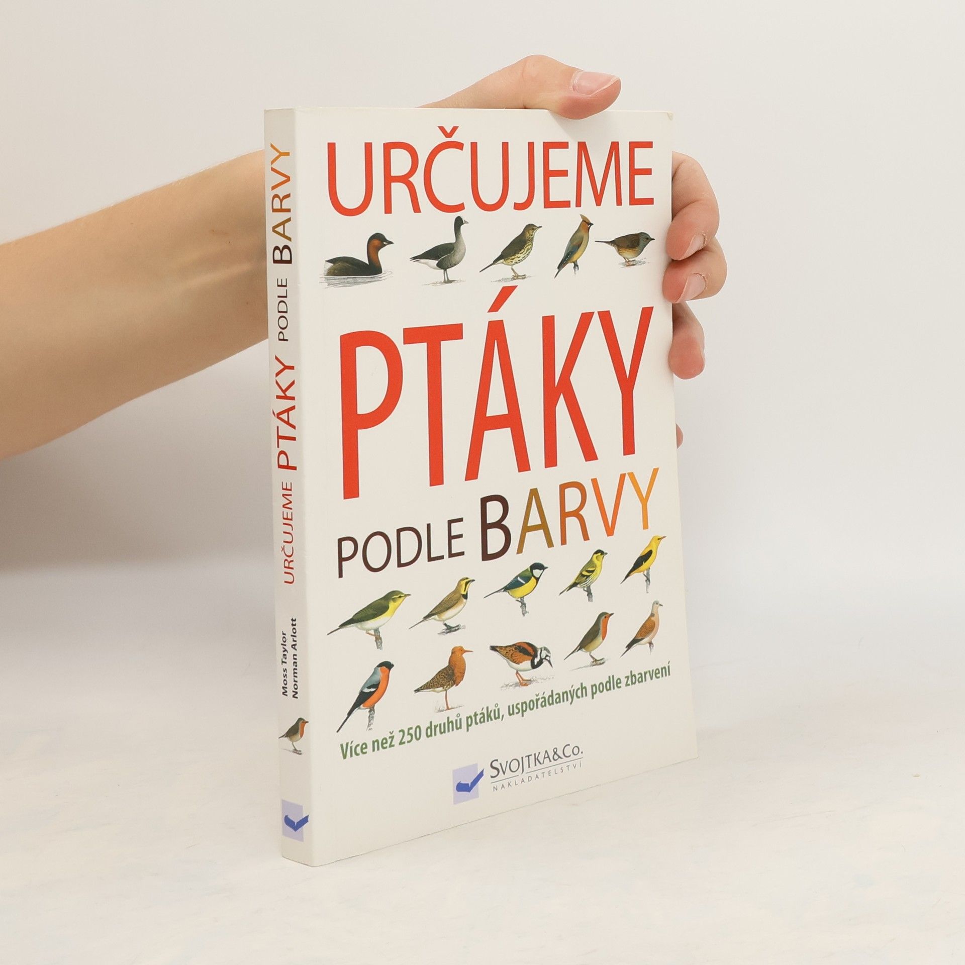 Určujeme ptáky podle barvy