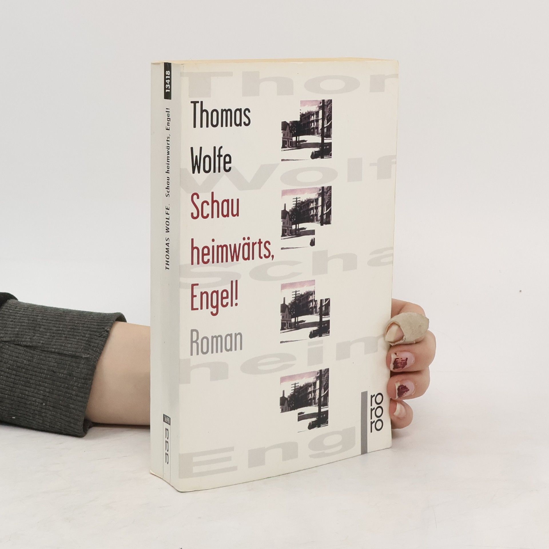 Thomas Wolfe Schau heimwärts, Engel!