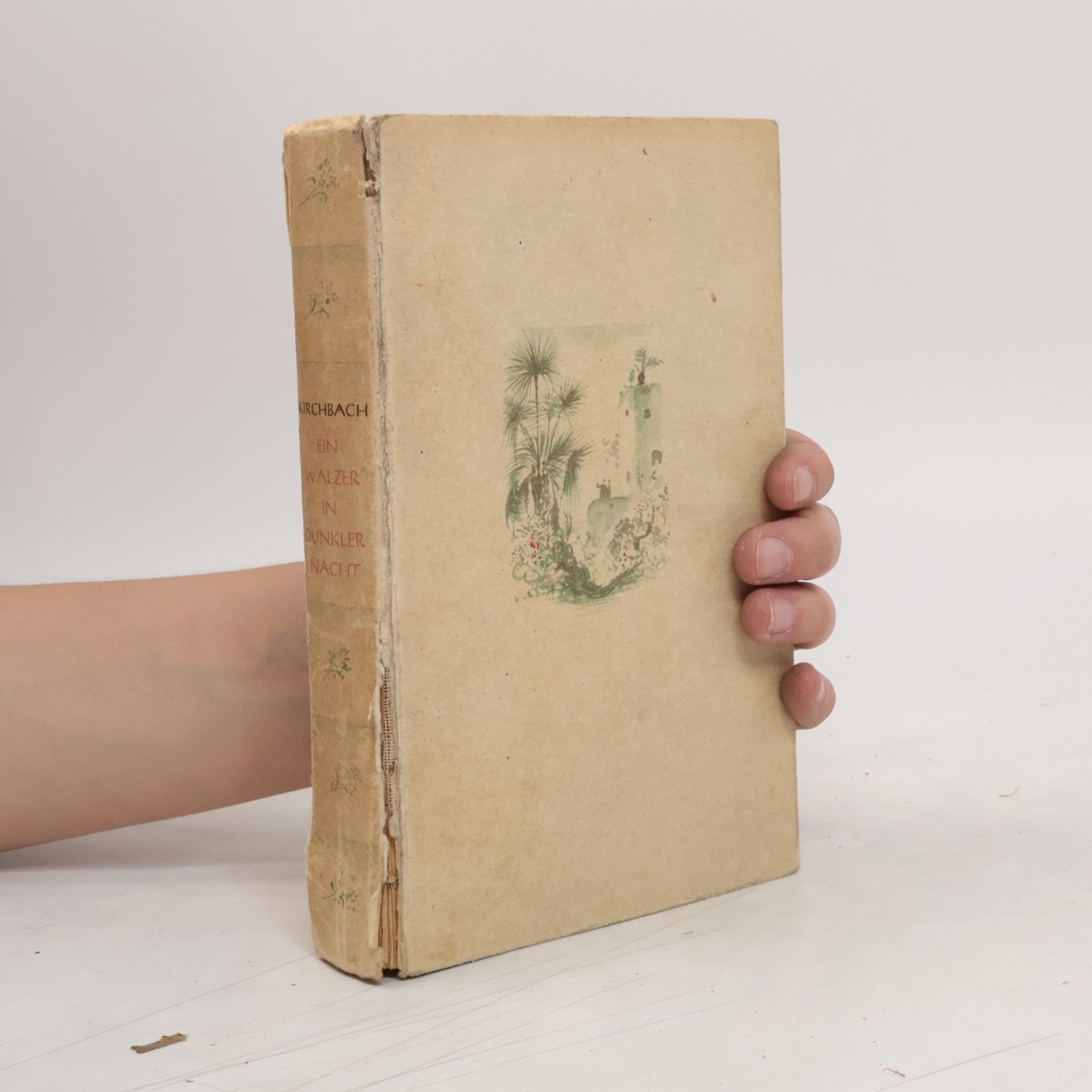 Maria von Kirchbach  Ein Walzer in dunkler Nacht