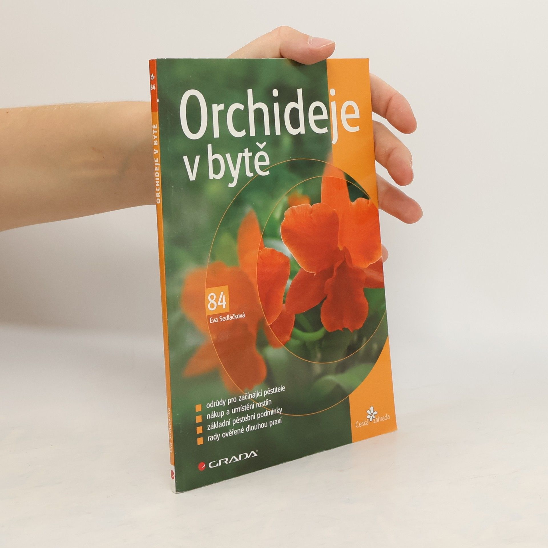 Eva Sedláčková Orchideje v bytě