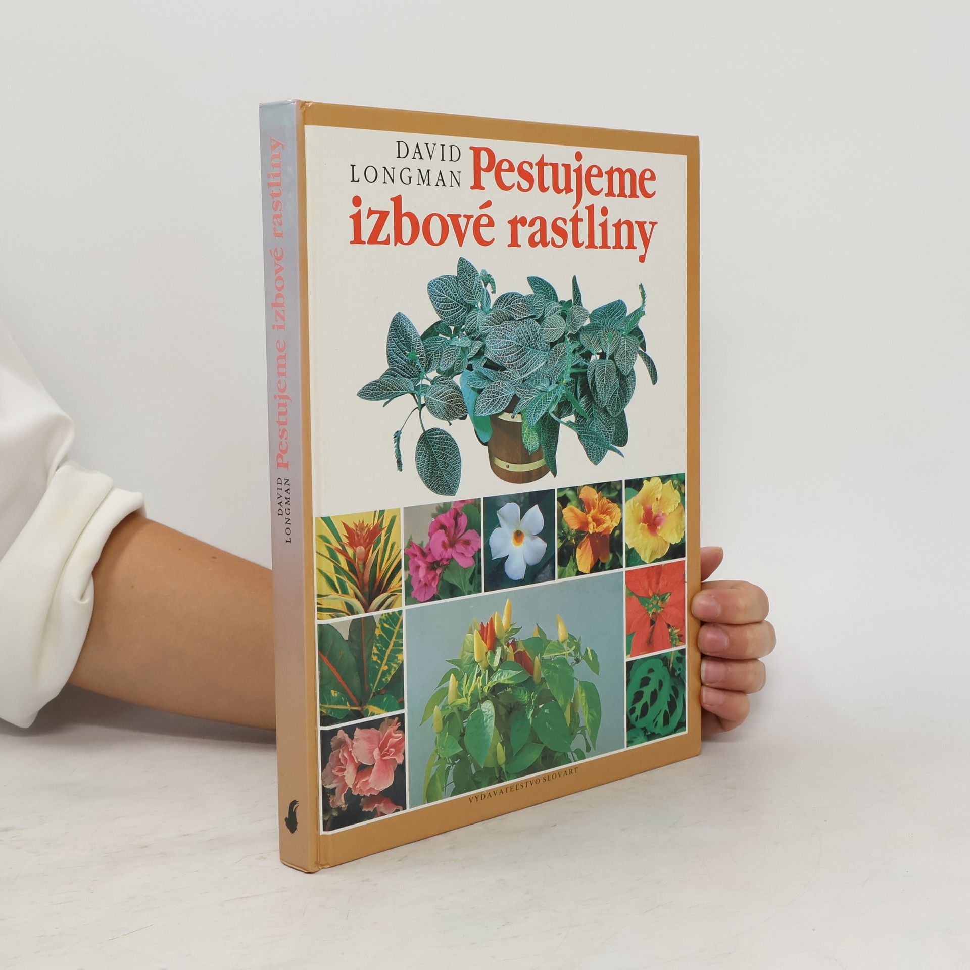 David Longman Pestujeme izbové rastliny
