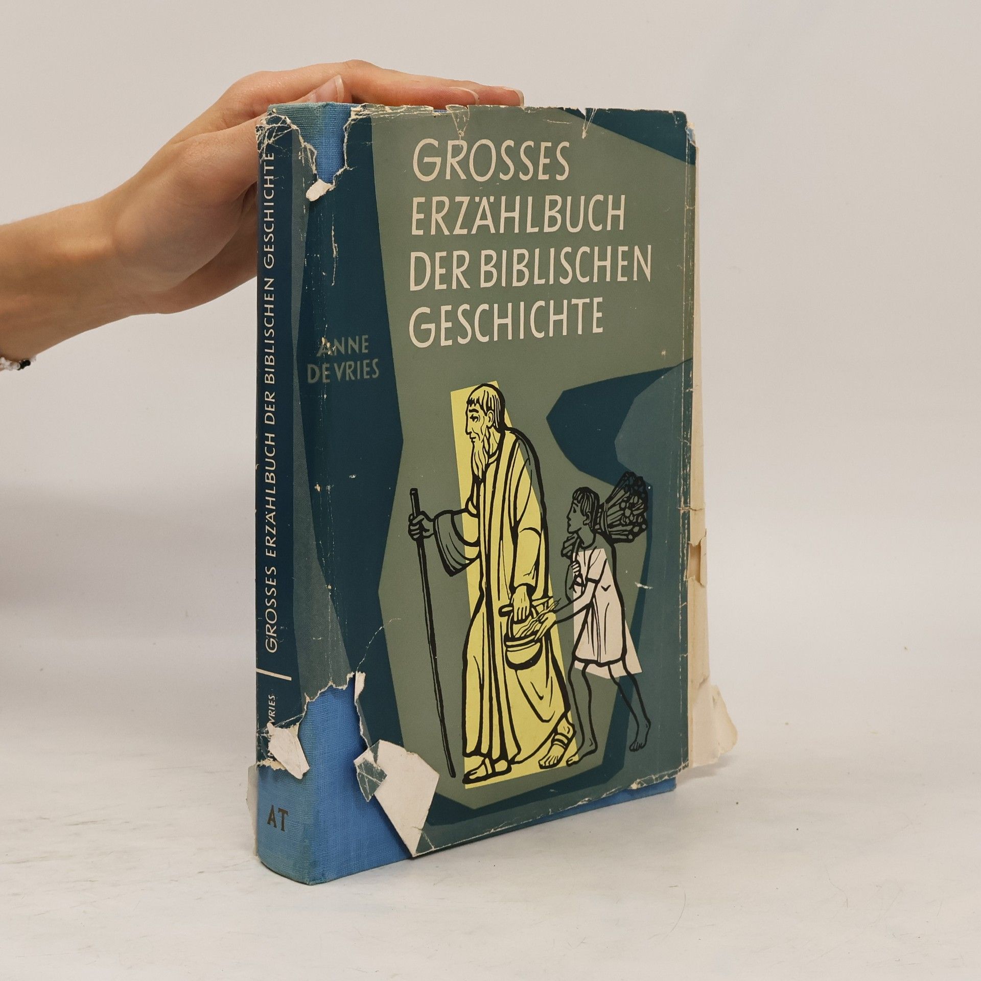 Anne de Vries Grosses Erzählbuch der biblischen Geschichte