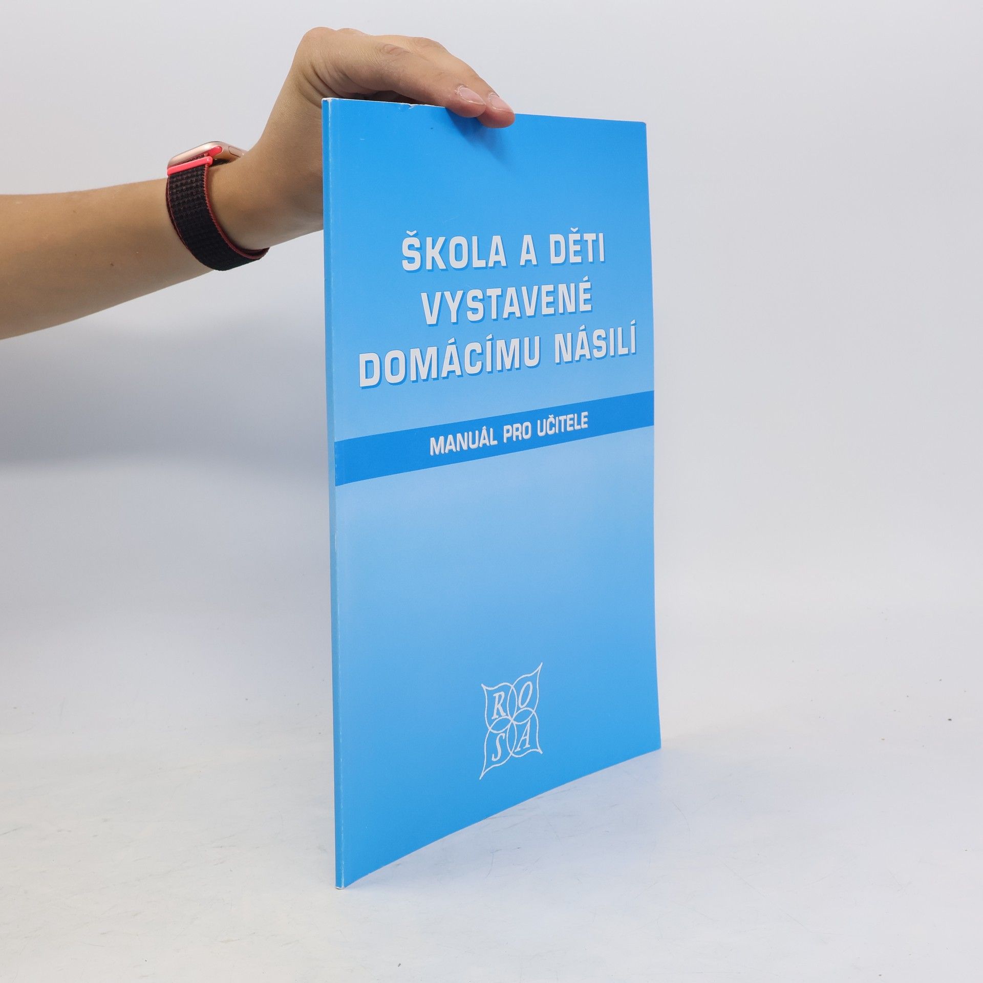 Kolektív autorov Škola a děti vystavené domácímu násilí