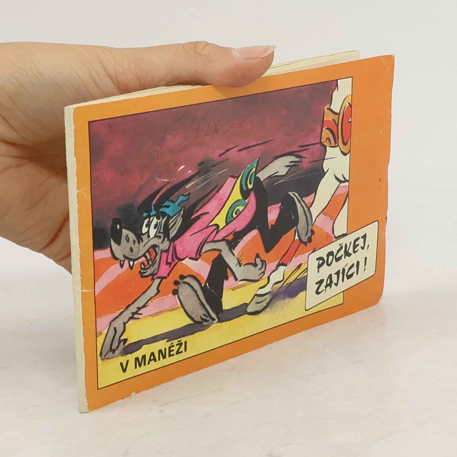 Autorenkollektiv Počkej zajíci! V manéži