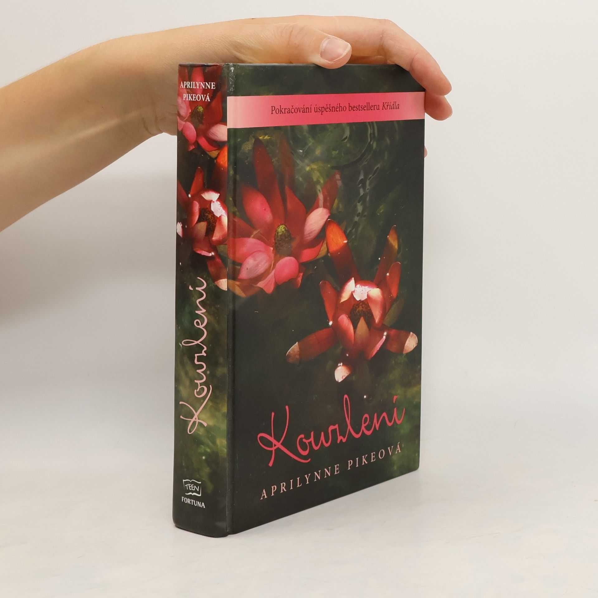 Aprilynne Pike Kouzlení. Křídla 2