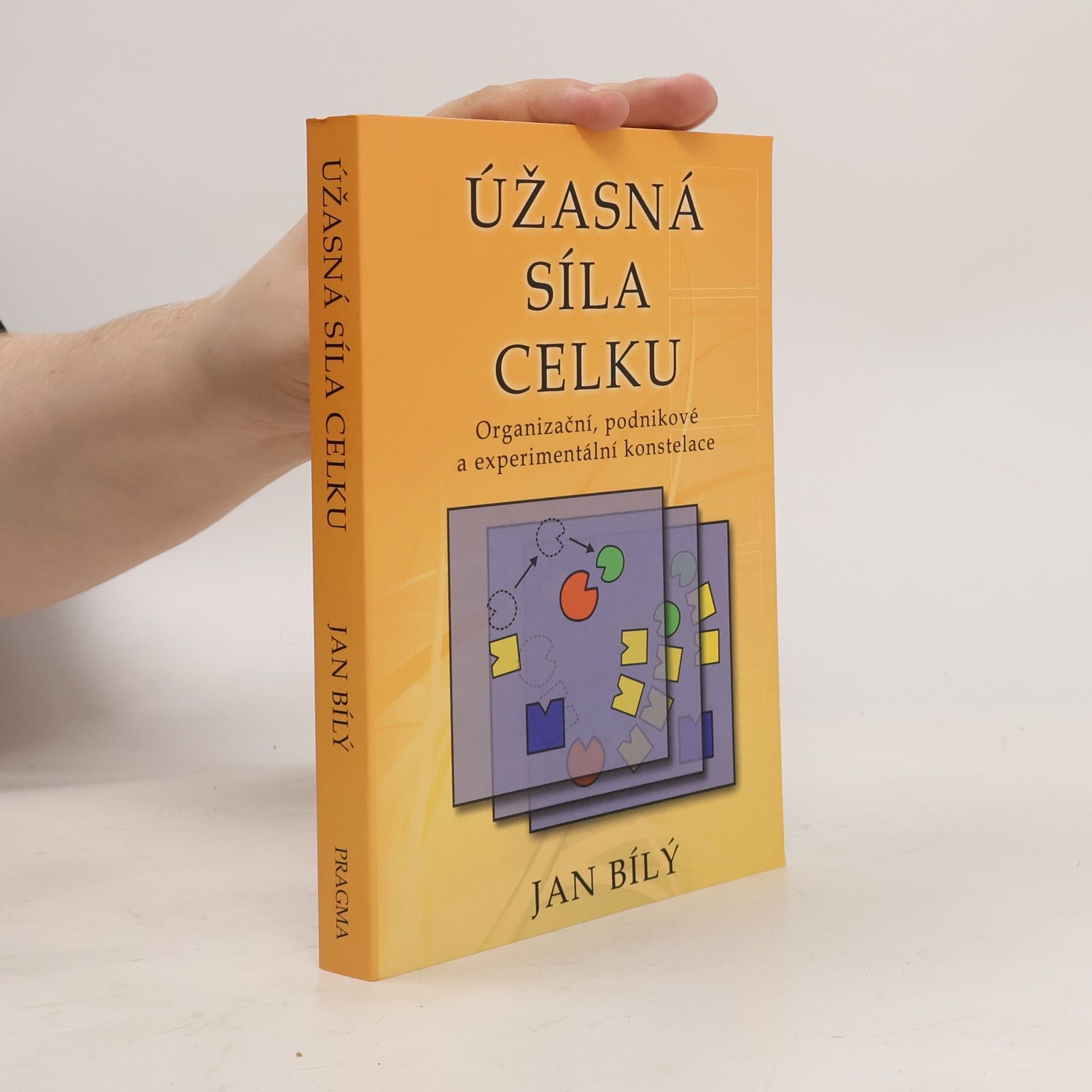 Jan Bílý Úžasná síla celku : organizační, podnikové a experimentální konstelace