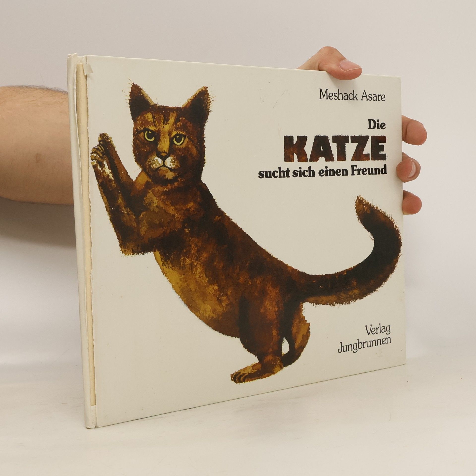 Meshack Asare Die Katze sucht sich einen Freund