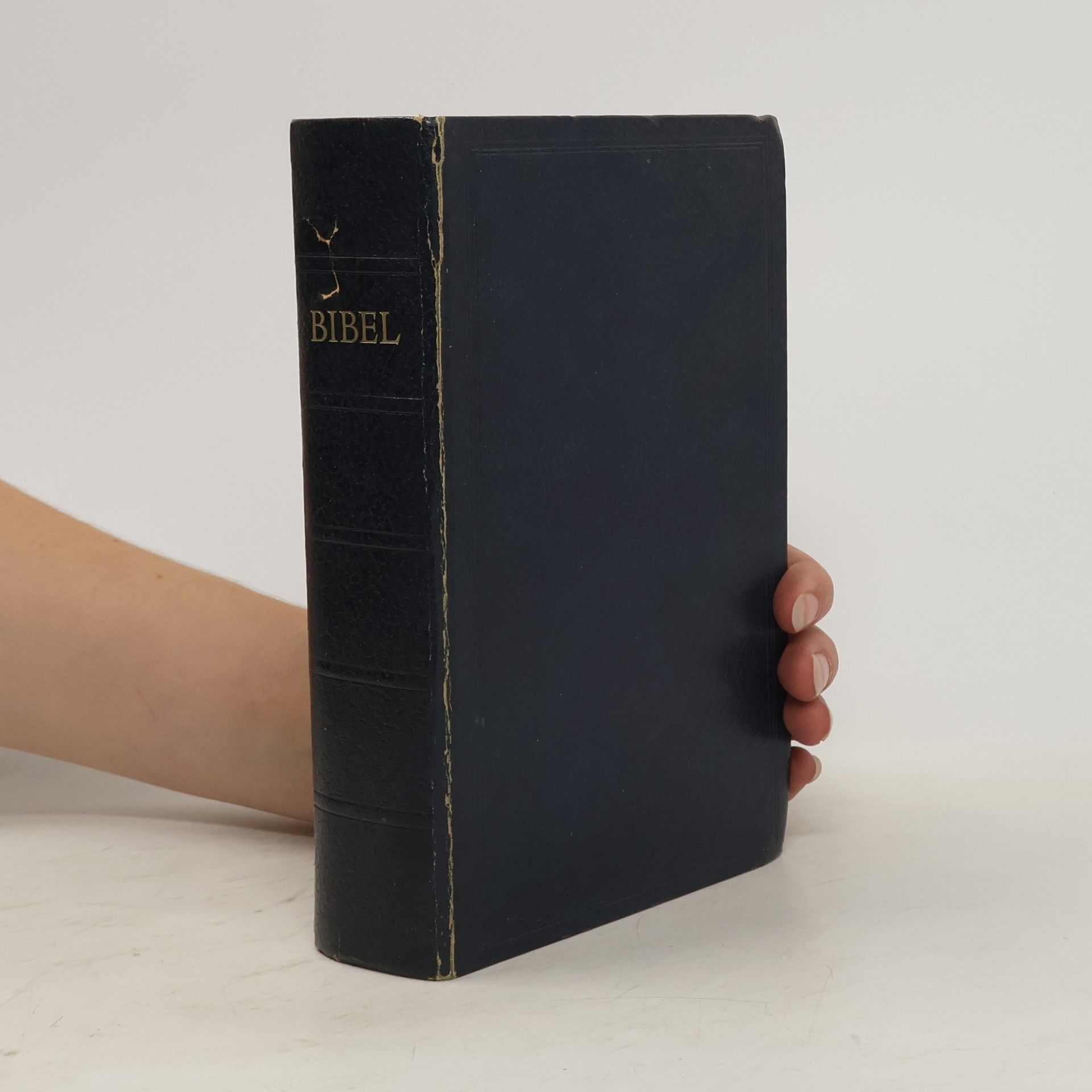 Autorenkollektiv Bibel