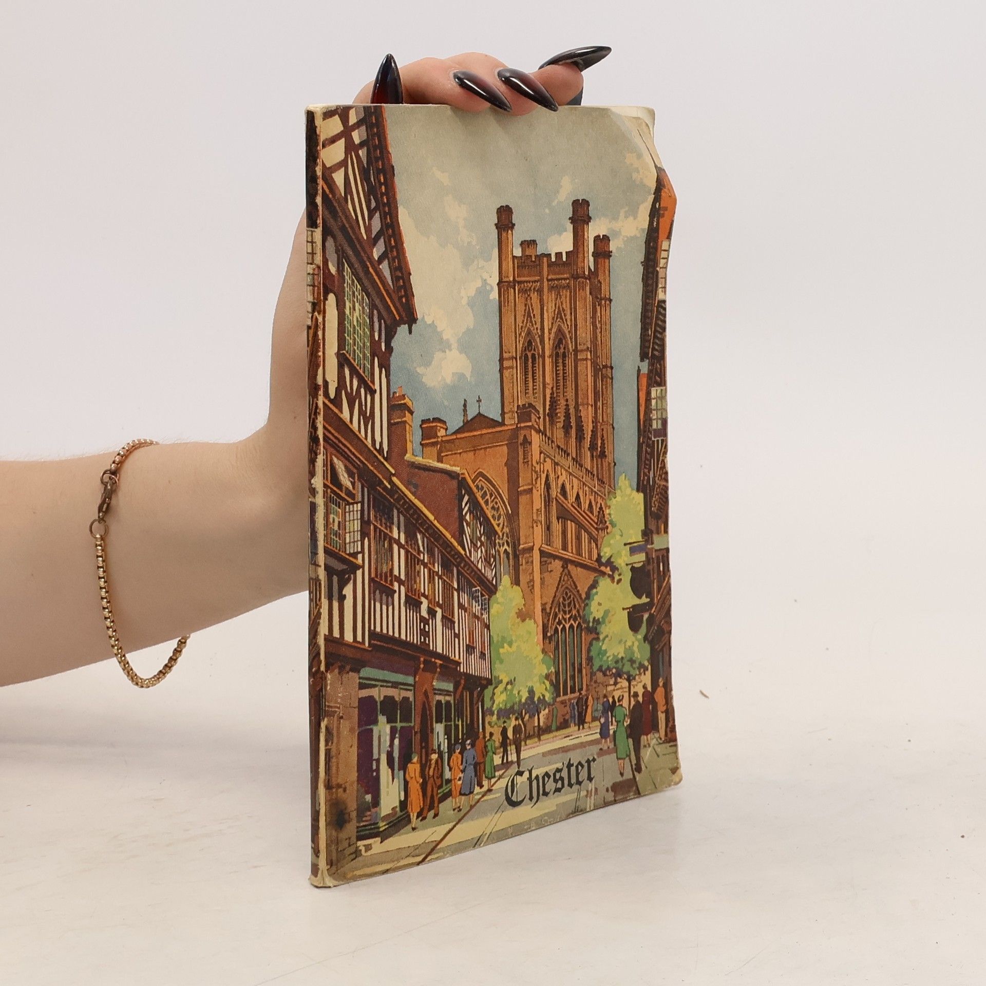 Collectif d'auteurs Chester. Official Guide