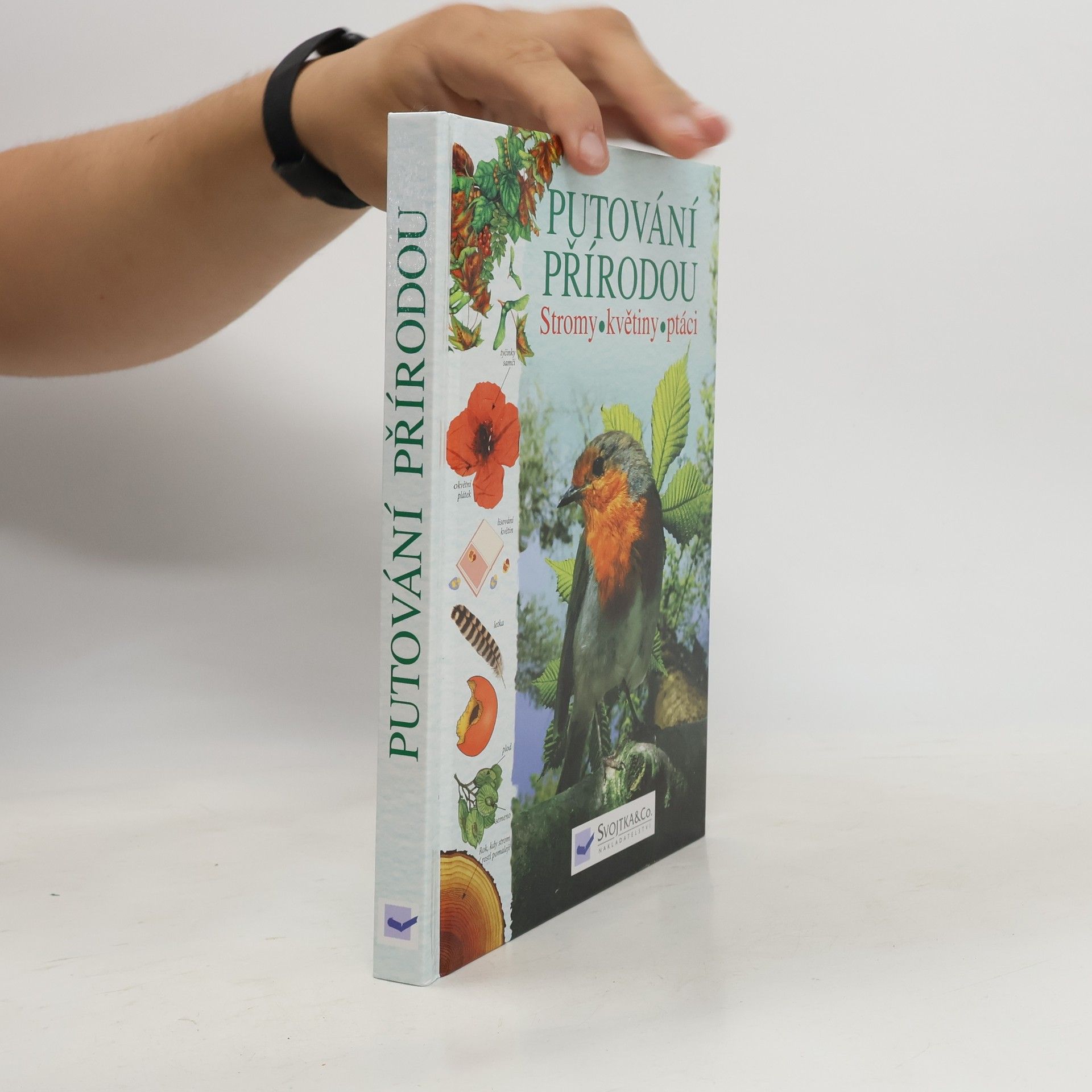 Collectif d'auteurs Putování přírodou: Stromy, květiny, ptáci