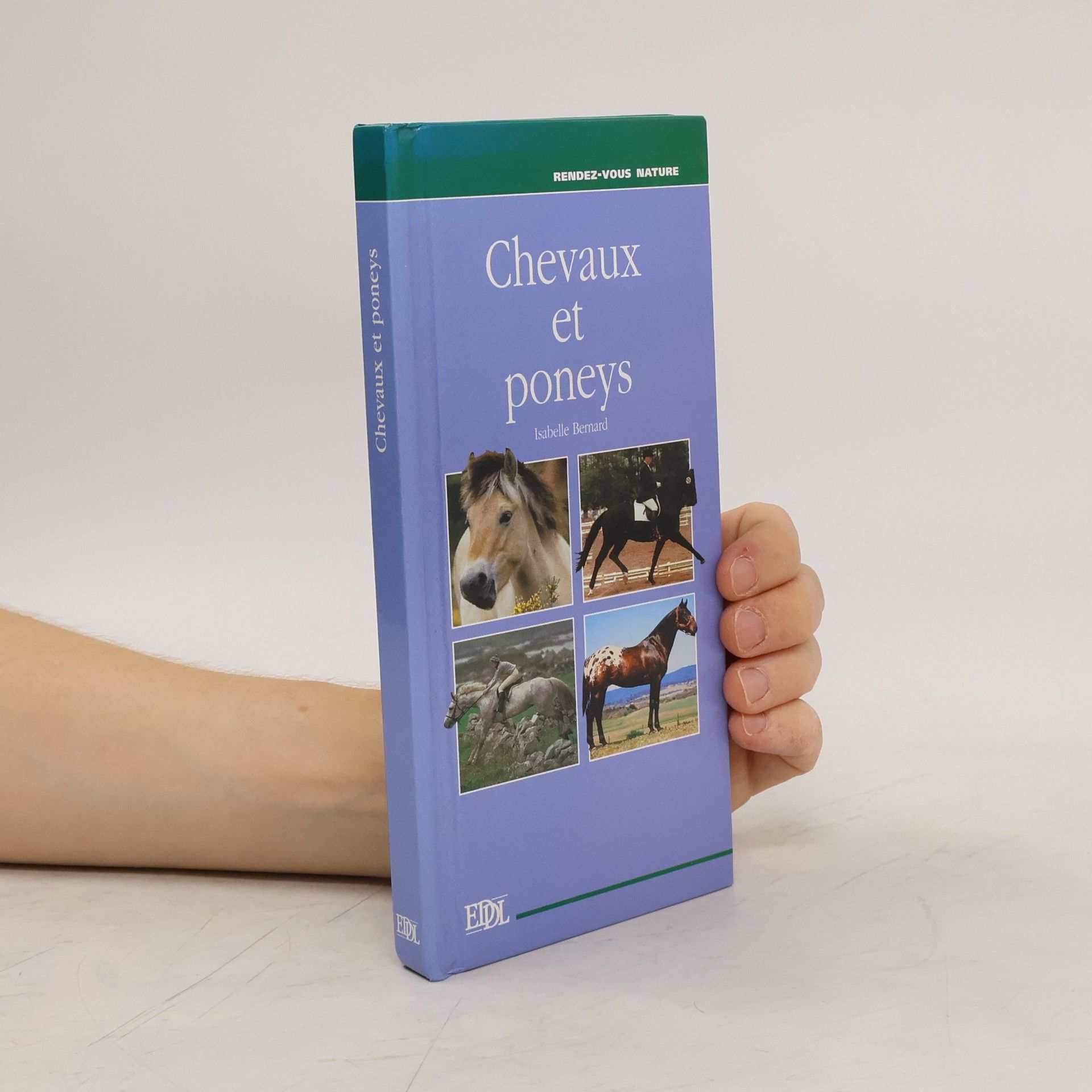 Isabelle Bernard Chevaux et poneys