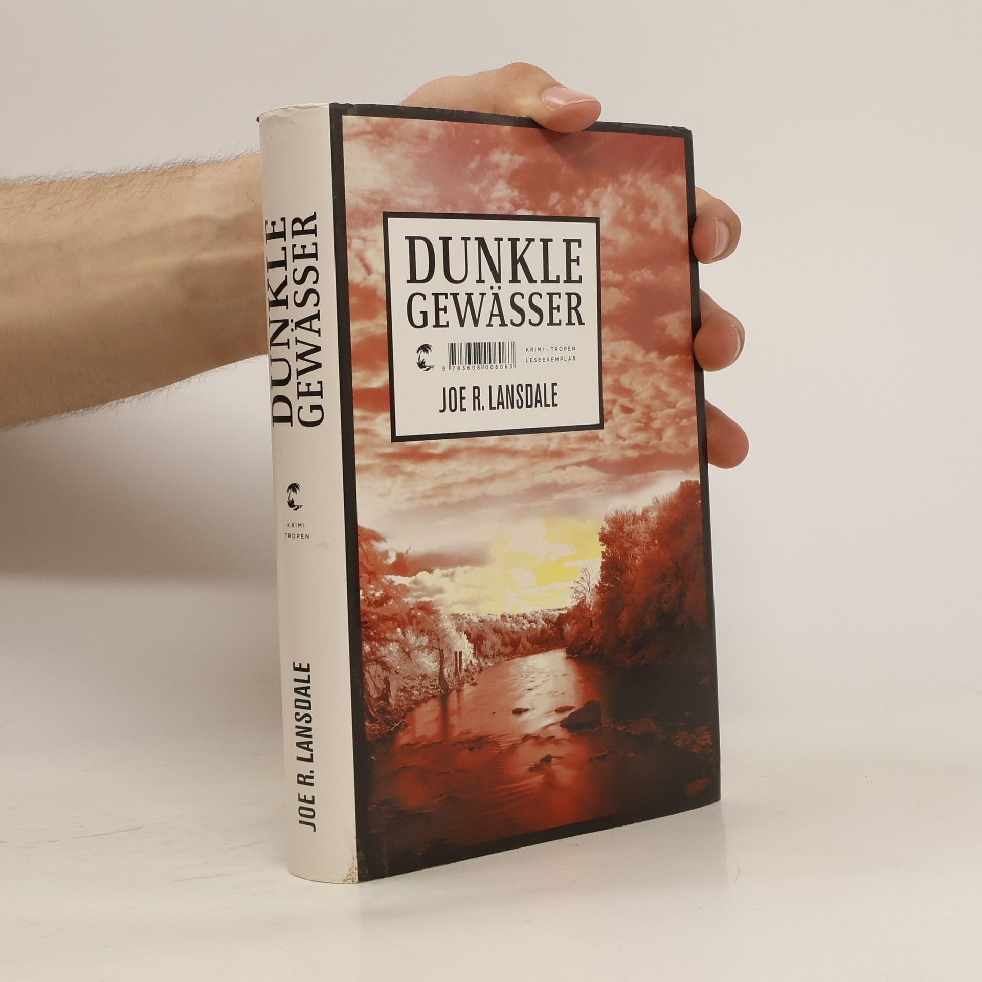 Joe R. Lansdale Dunkle Gewässer