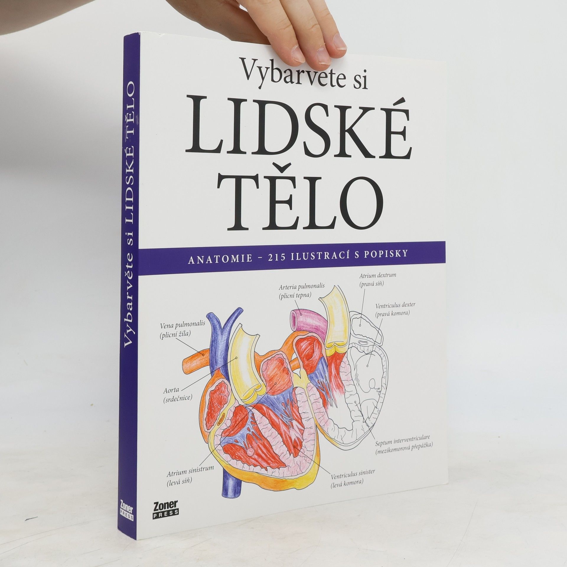 Evelína Kovácsová Vybarvěte si lidské tělo : anatomie - 215 ilustrací s popisky