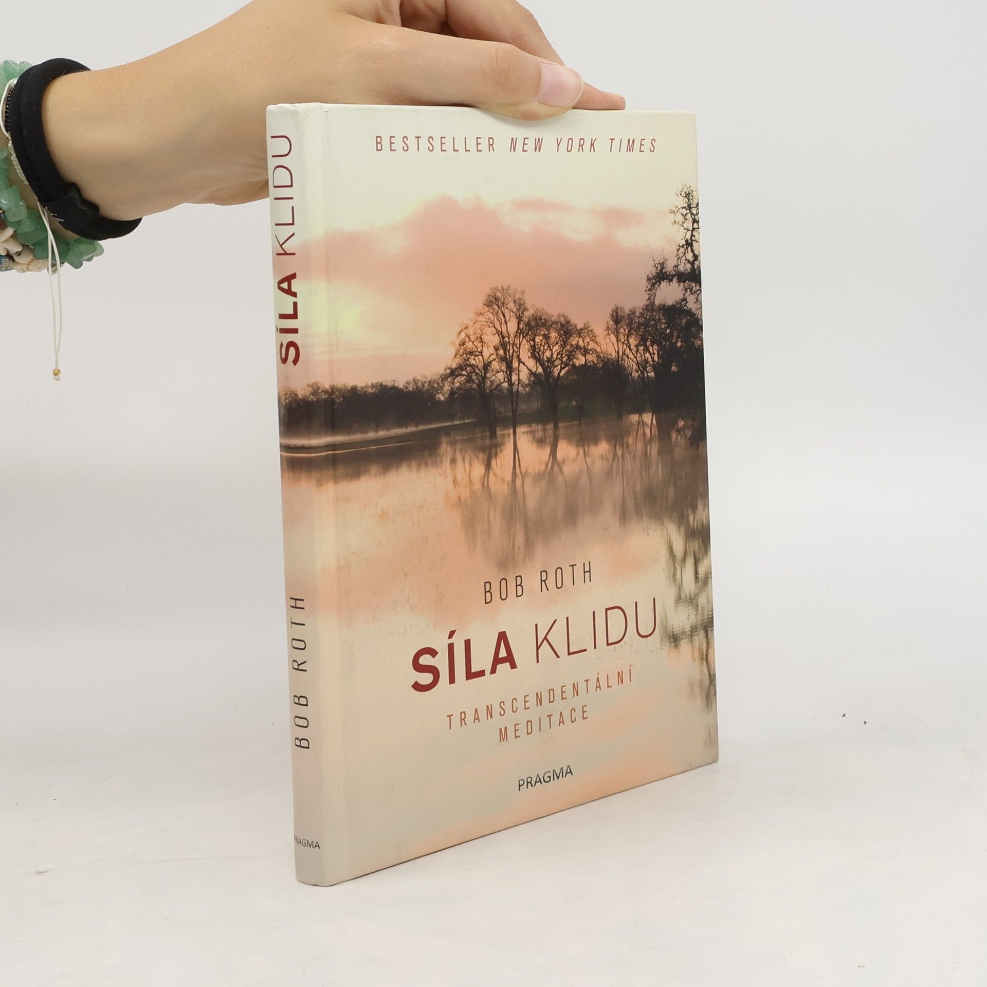 Bob Roth Síla klidu. Transcendentální meditace