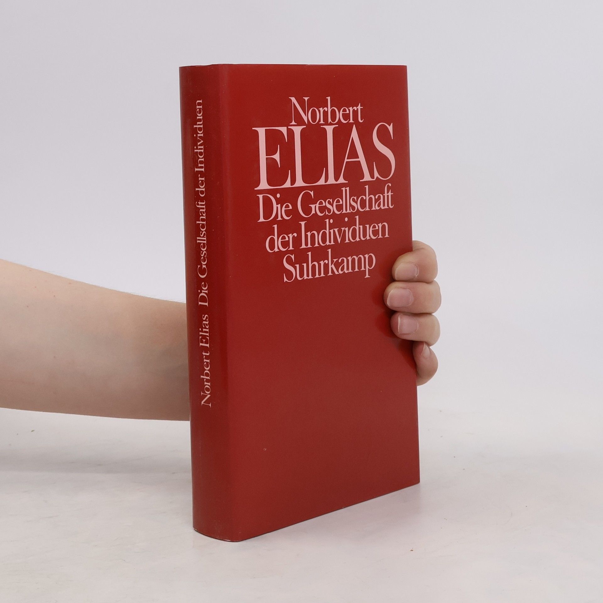 Norbert Elias Die Gesellschaft der Individuen
